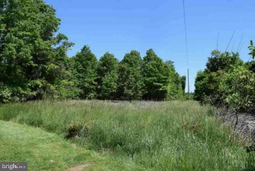 00 AUSTIN GROVE RD, BLUEMONT, Virginia 20135, ,Land,For sale,00 AUSTIN GROVE RD,VALO2076562 MLS # VALO2076562