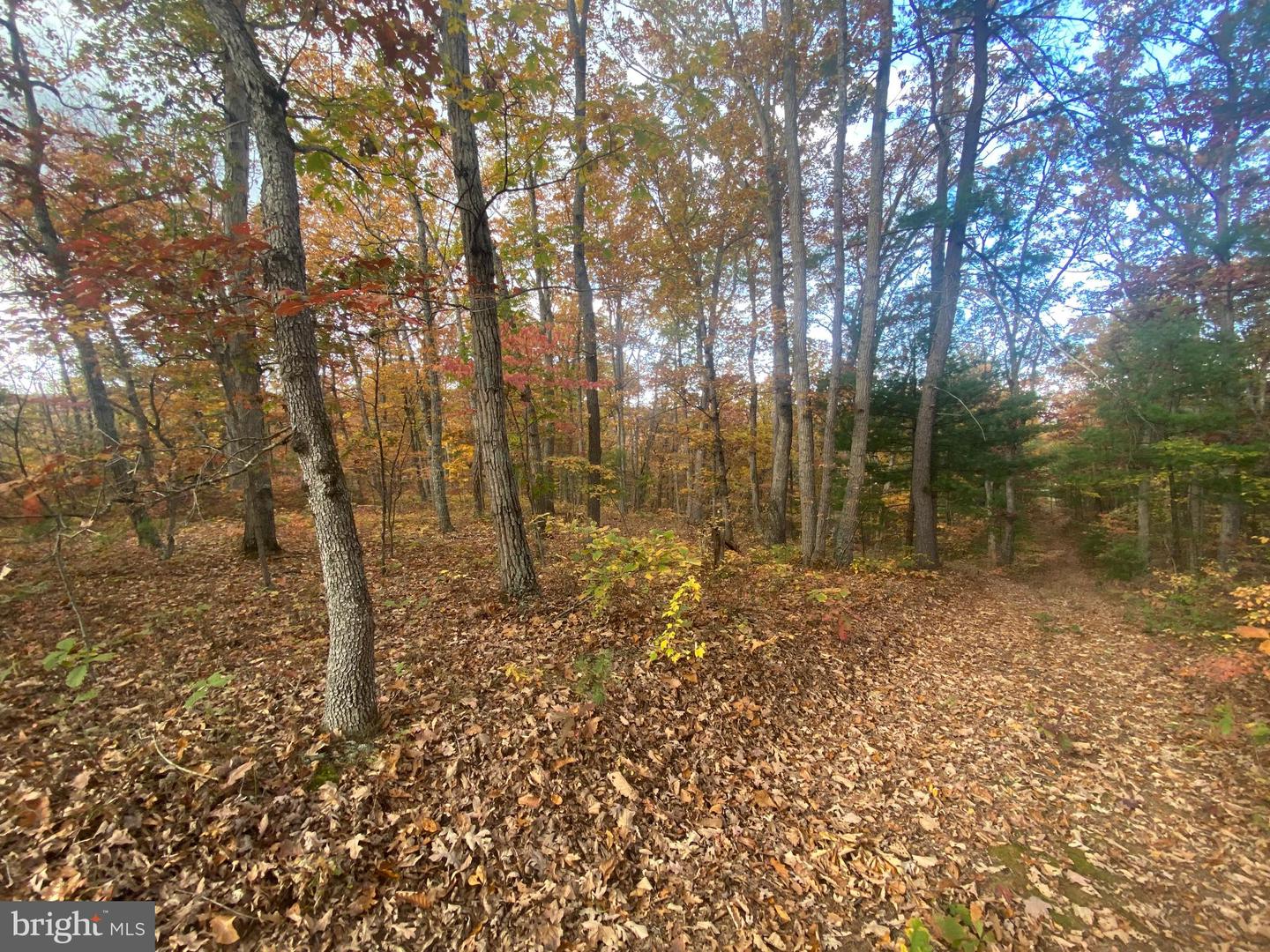 LOT 10 FOUR WHEEL DR, WINCHESTER, Virginia 22602, ,Land,For sale,LOT 10 FOUR WHEEL DR,VAFV2015700 MLS # VAFV2015700