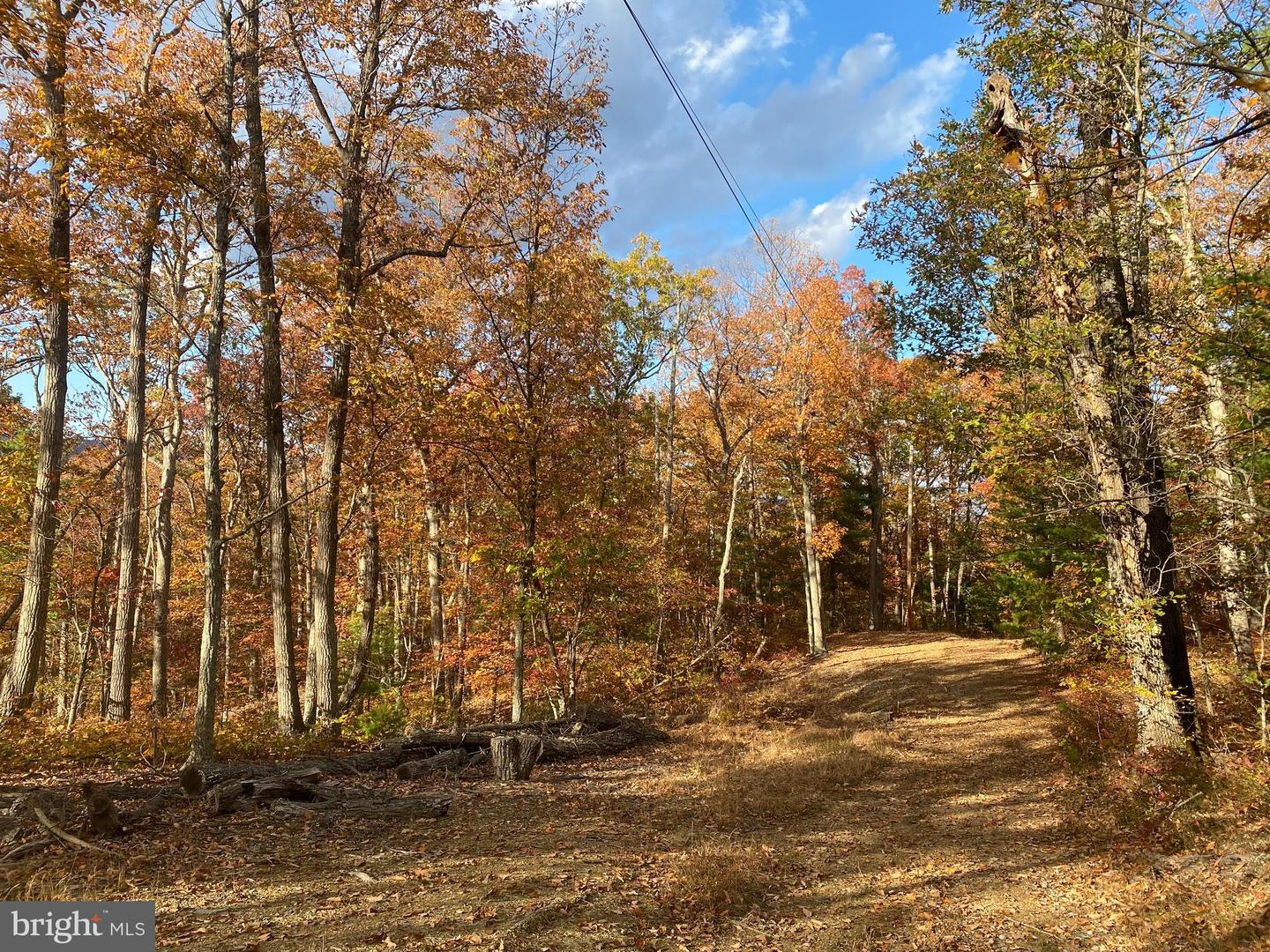 LOT 10 FOUR WHEEL DR, WINCHESTER, Virginia 22602, ,Land,For sale,LOT 10 FOUR WHEEL DR,VAFV2015700 MLS # VAFV2015700