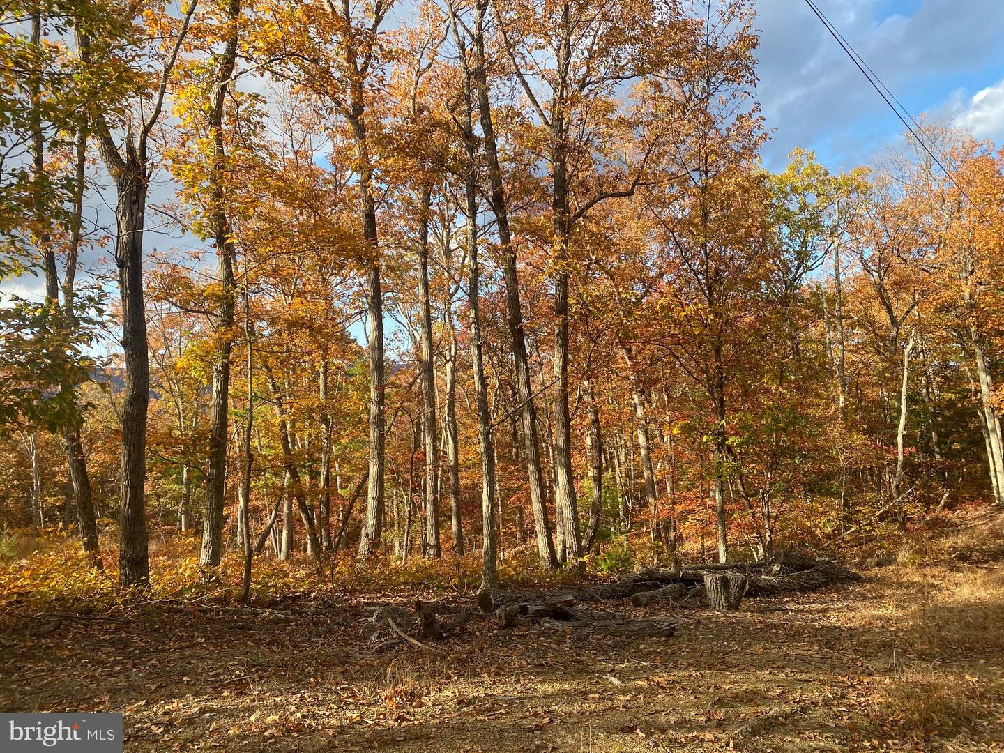 LOT 10 FOUR WHEEL DR, WINCHESTER, Virginia 22602, ,Land,For sale,LOT 10 FOUR WHEEL DR,VAFV2015700 MLS # VAFV2015700