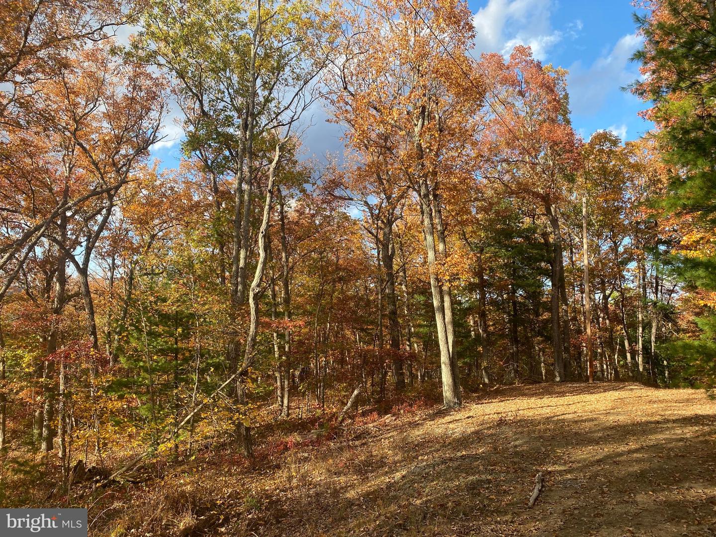 LOT 10 FOUR WHEEL DR, WINCHESTER, Virginia 22602, ,Land,For sale,LOT 10 FOUR WHEEL DR,VAFV2015700 MLS # VAFV2015700