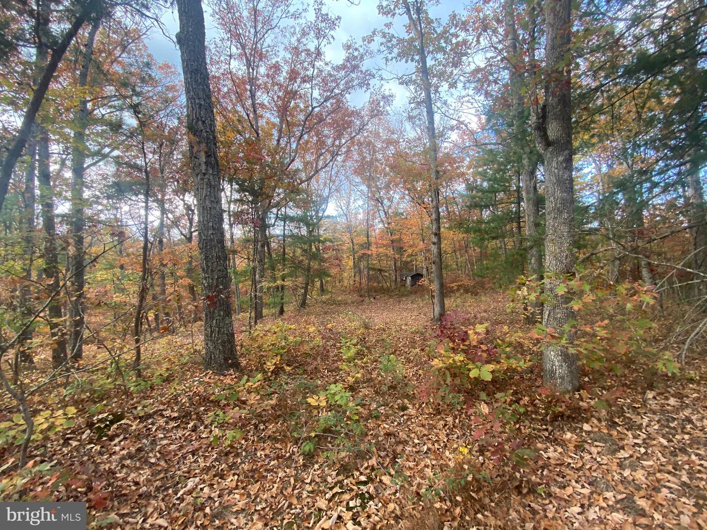 LOT 10 FOUR WHEEL DR, WINCHESTER, Virginia 22602, ,Land,For sale,LOT 10 FOUR WHEEL DR,VAFV2015700 MLS # VAFV2015700