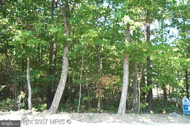 GROUSE RD, WINCHESTER, Virginia 22602, ,Land,For sale,GROUSE RD,VAFV2017140 MLS # VAFV2017140