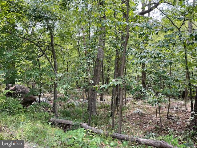 0 OPOSSUM TRL, WINCHESTER, Virginia 22602, ,Land,For sale,0 OPOSSUM TRL,VAFV2020618 MLS # VAFV2020618