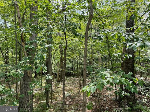 0 OPOSSUM TRL, WINCHESTER, Virginia 22602, ,Land,For sale,0 OPOSSUM TRL,VAFV2020618 MLS # VAFV2020618