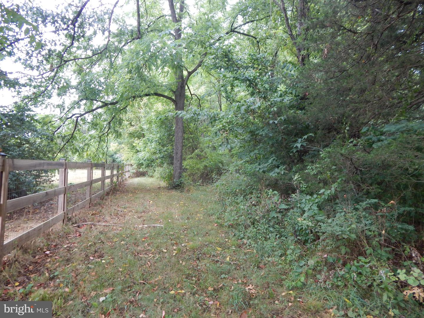 RACHELS LN, FRONT ROYAL, Virginia 22630, ,Land,For sale,RACHELS LN,VAWR2008632 MLS # VAWR2008632