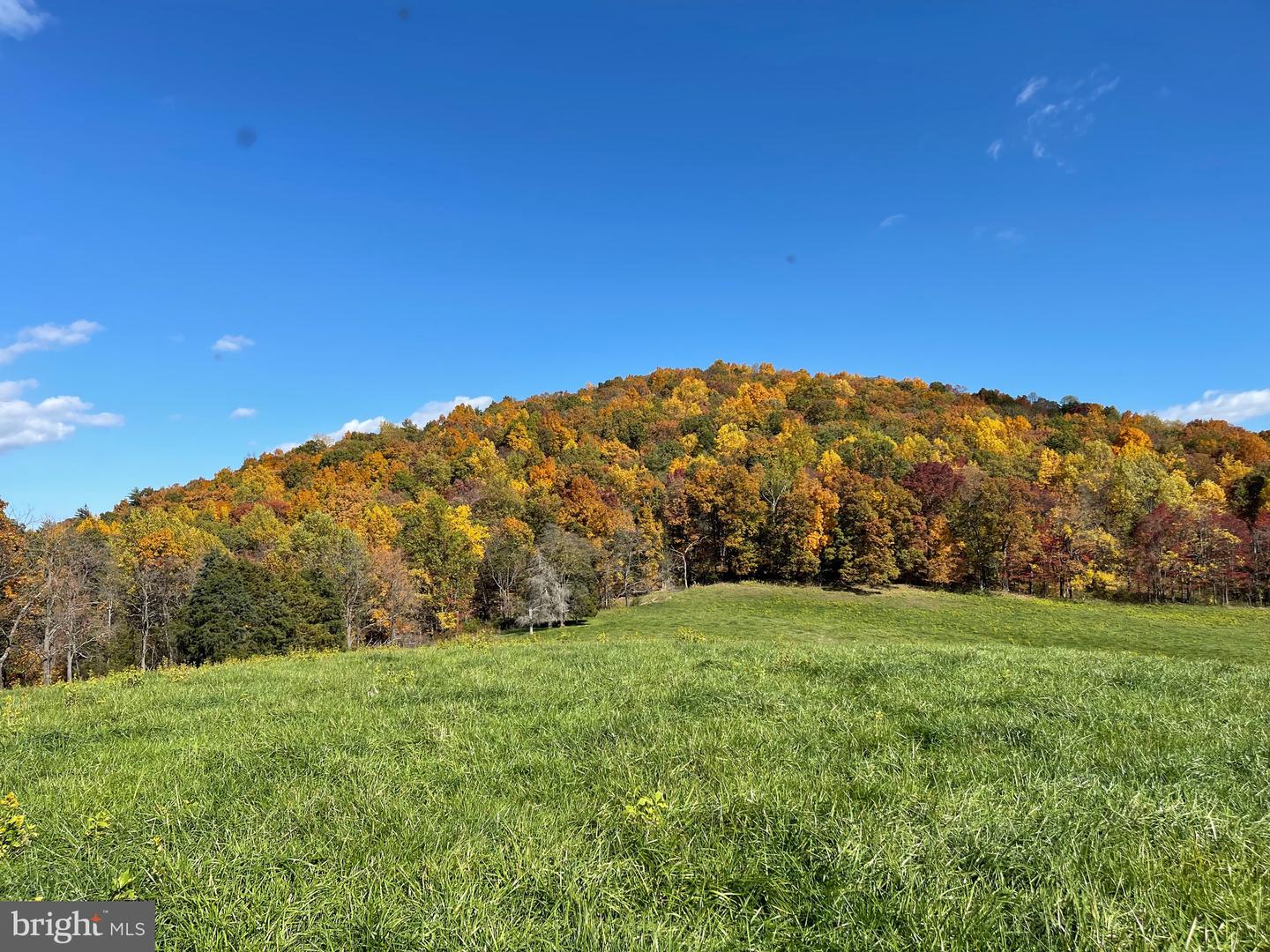 LOT 10 BUCK MOUNTAIN RD, BENTONVILLE, Virginia 22610, ,Land,For sale,LOT 10 BUCK MOUNTAIN RD,VAWR2008680 MLS # VAWR2008680