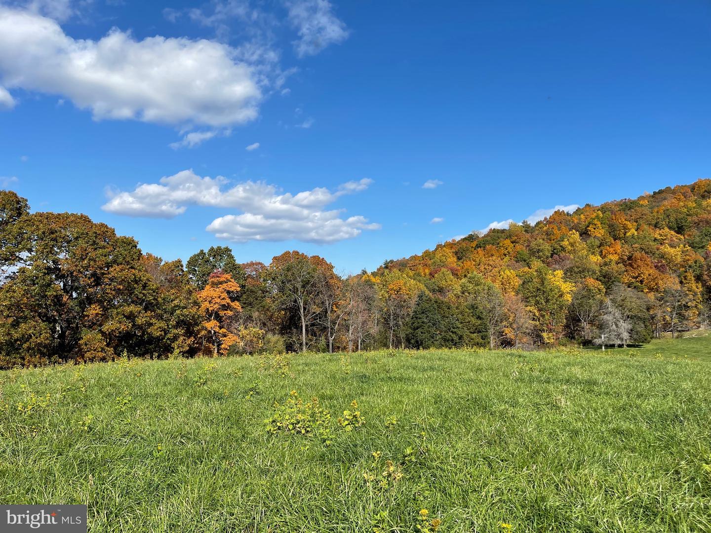 LOT 10 BUCK MOUNTAIN RD, BENTONVILLE, Virginia 22610, ,Land,For sale,LOT 10 BUCK MOUNTAIN RD,VAWR2008680 MLS # VAWR2008680