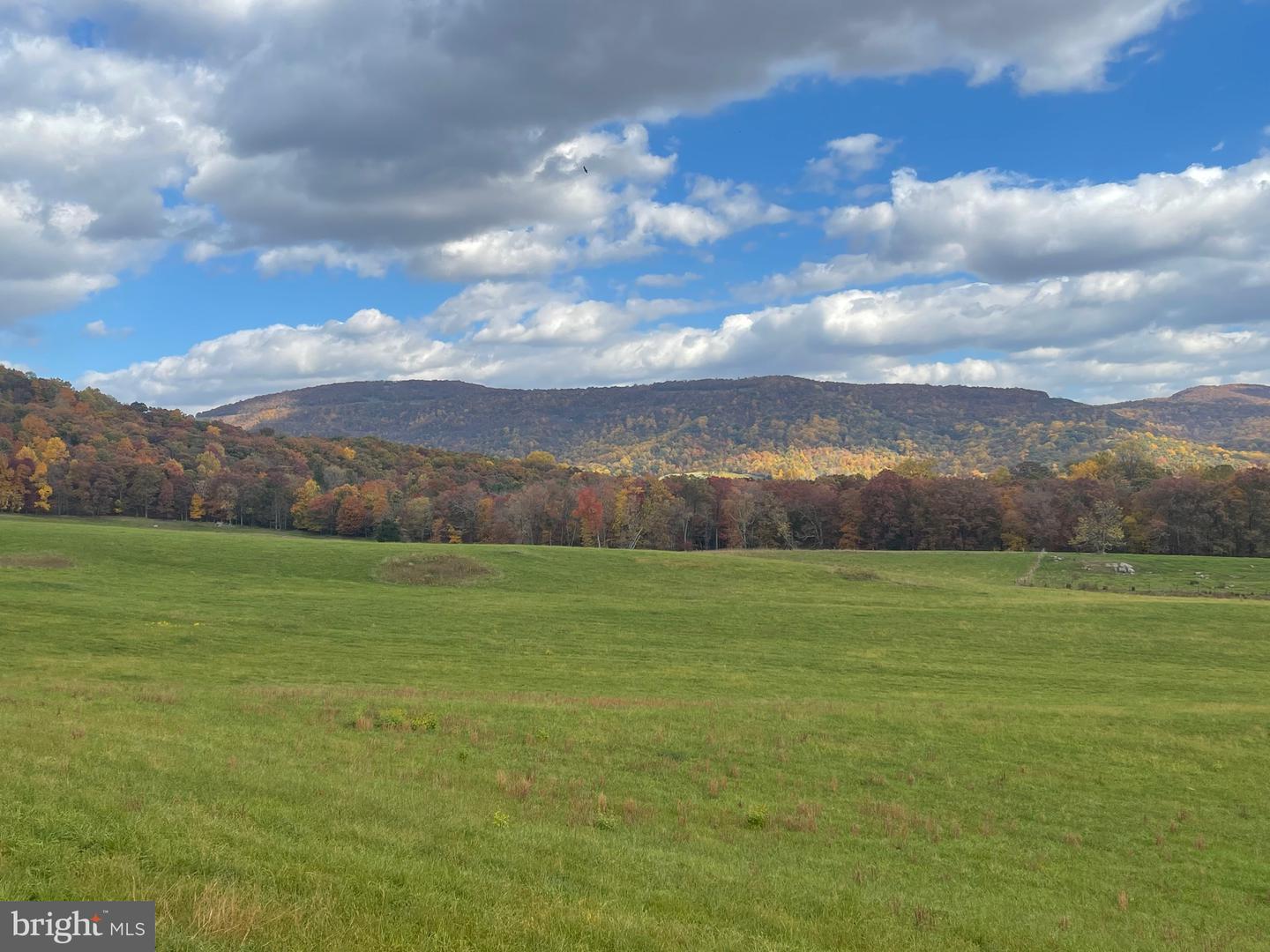 LOT 10 BUCK MOUNTAIN RD, BENTONVILLE, Virginia 22610, ,Land,For sale,LOT 10 BUCK MOUNTAIN RD,VAWR2008680 MLS # VAWR2008680