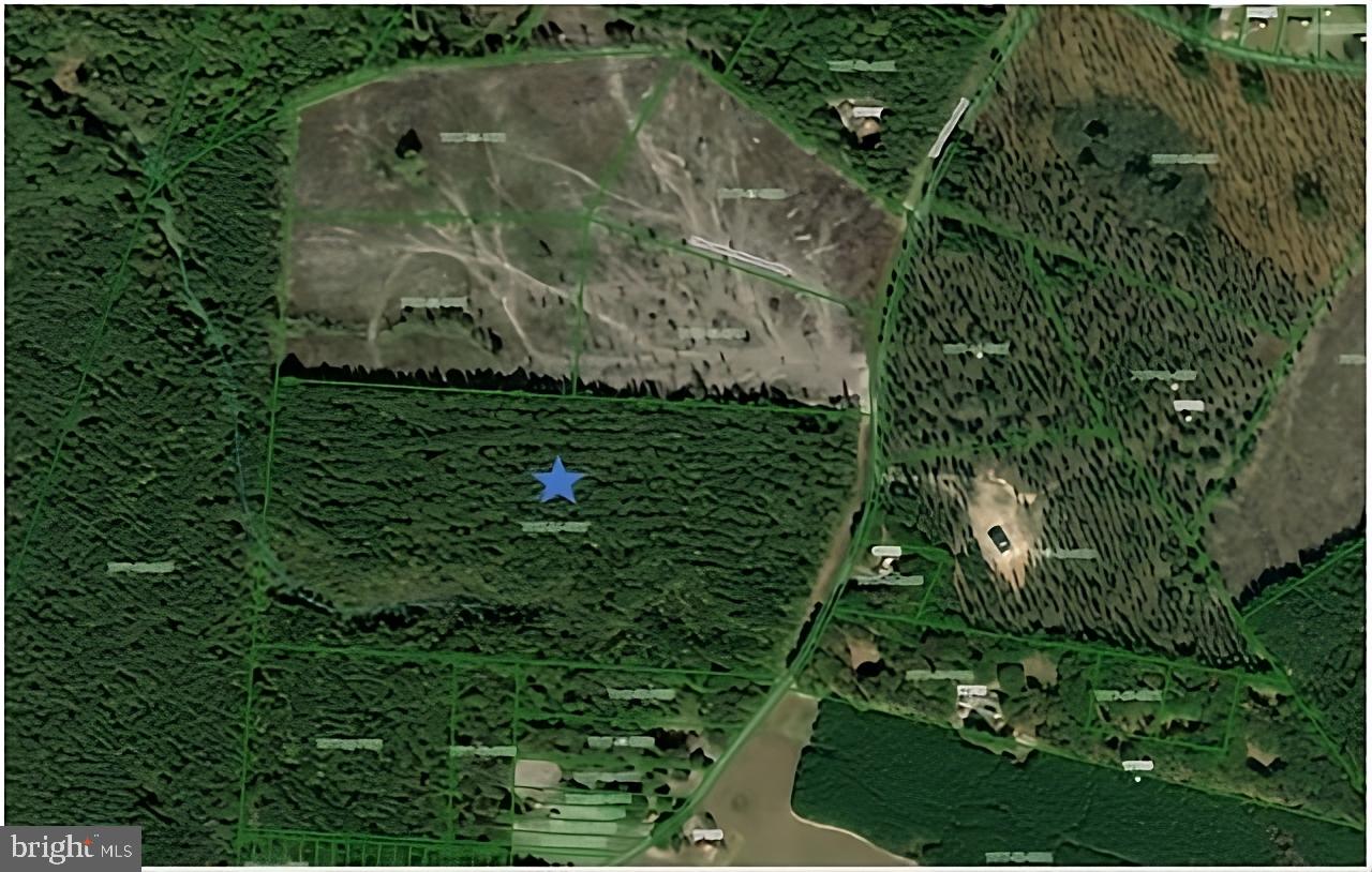 TYLER STATION RD #LOT 1, BEAVERDAM, Virginia 23015, ,Land,For sale,TYLER STATION RD #LOT 1,VAHA2000774 MLS # VAHA2000774