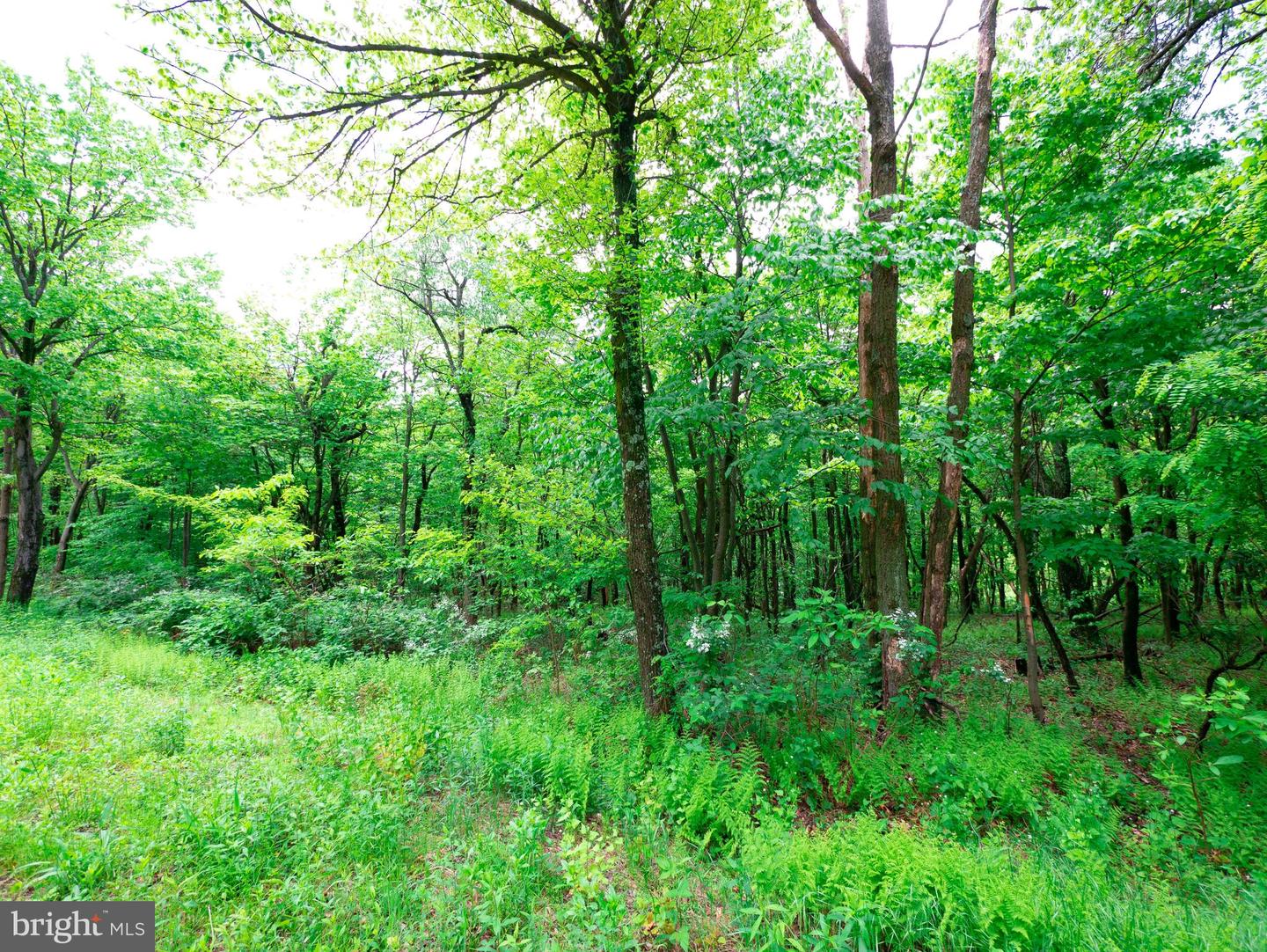 LOT 181 ROCKWOOD TRL, WINCHESTER, Virginia 22602, ,Land,For sale,LOT 181 ROCKWOOD TRL,VAFV2015996 MLS # VAFV2015996