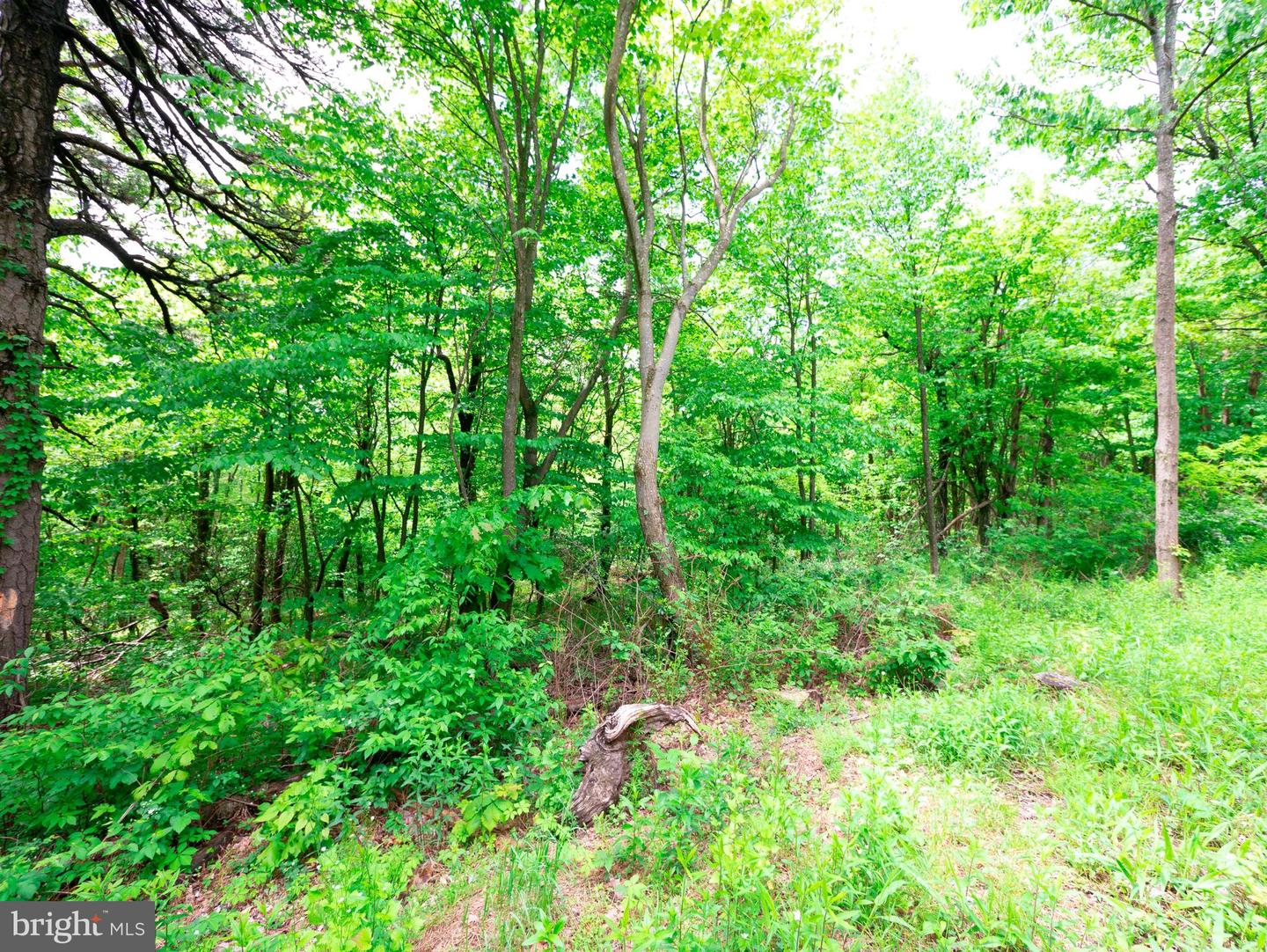 LOT 181 ROCKWOOD TRL, WINCHESTER, Virginia 22602, ,Land,For sale,LOT 181 ROCKWOOD TRL,VAFV2015996 MLS # VAFV2015996