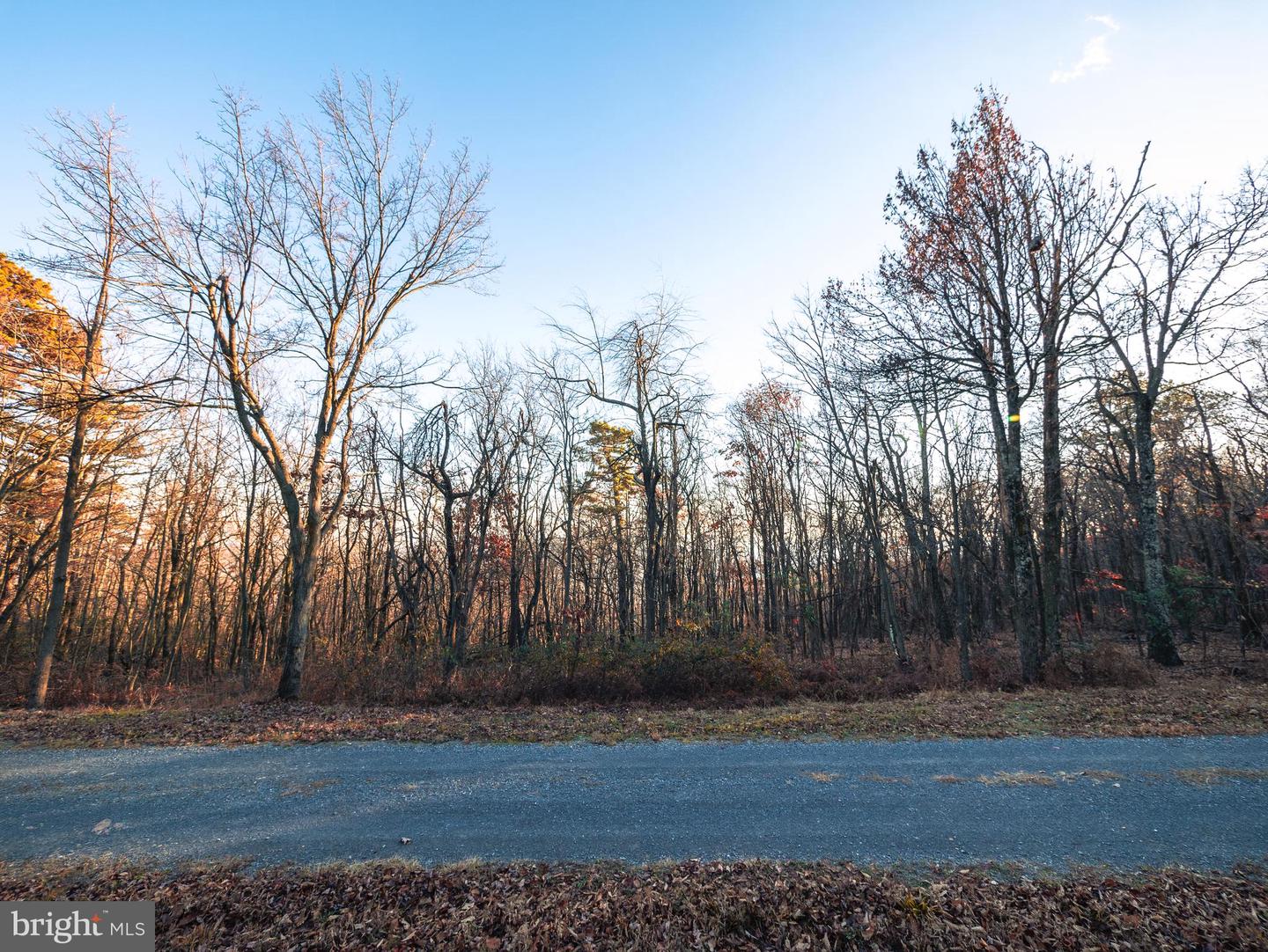 LOT 181 ROCKWOOD TRL, WINCHESTER, Virginia 22602, ,Land,For sale,LOT 181 ROCKWOOD TRL,VAFV2015996 MLS # VAFV2015996