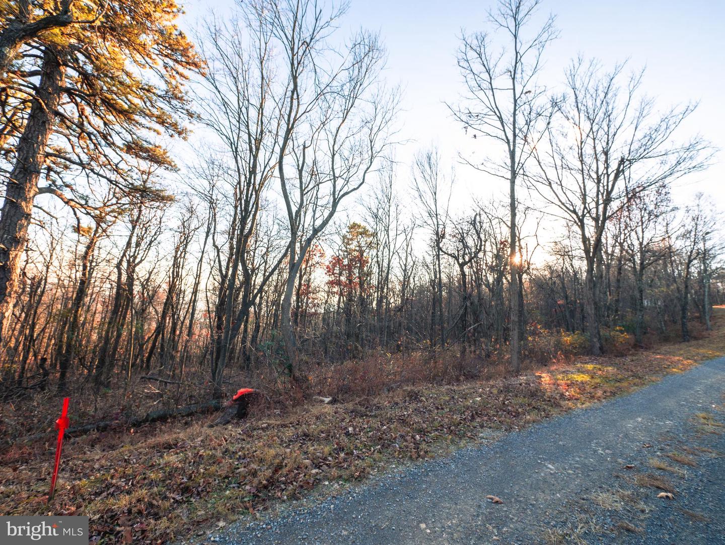 LOT 181 ROCKWOOD TRL, WINCHESTER, Virginia 22602, ,Land,For sale,LOT 181 ROCKWOOD TRL,VAFV2015996 MLS # VAFV2015996