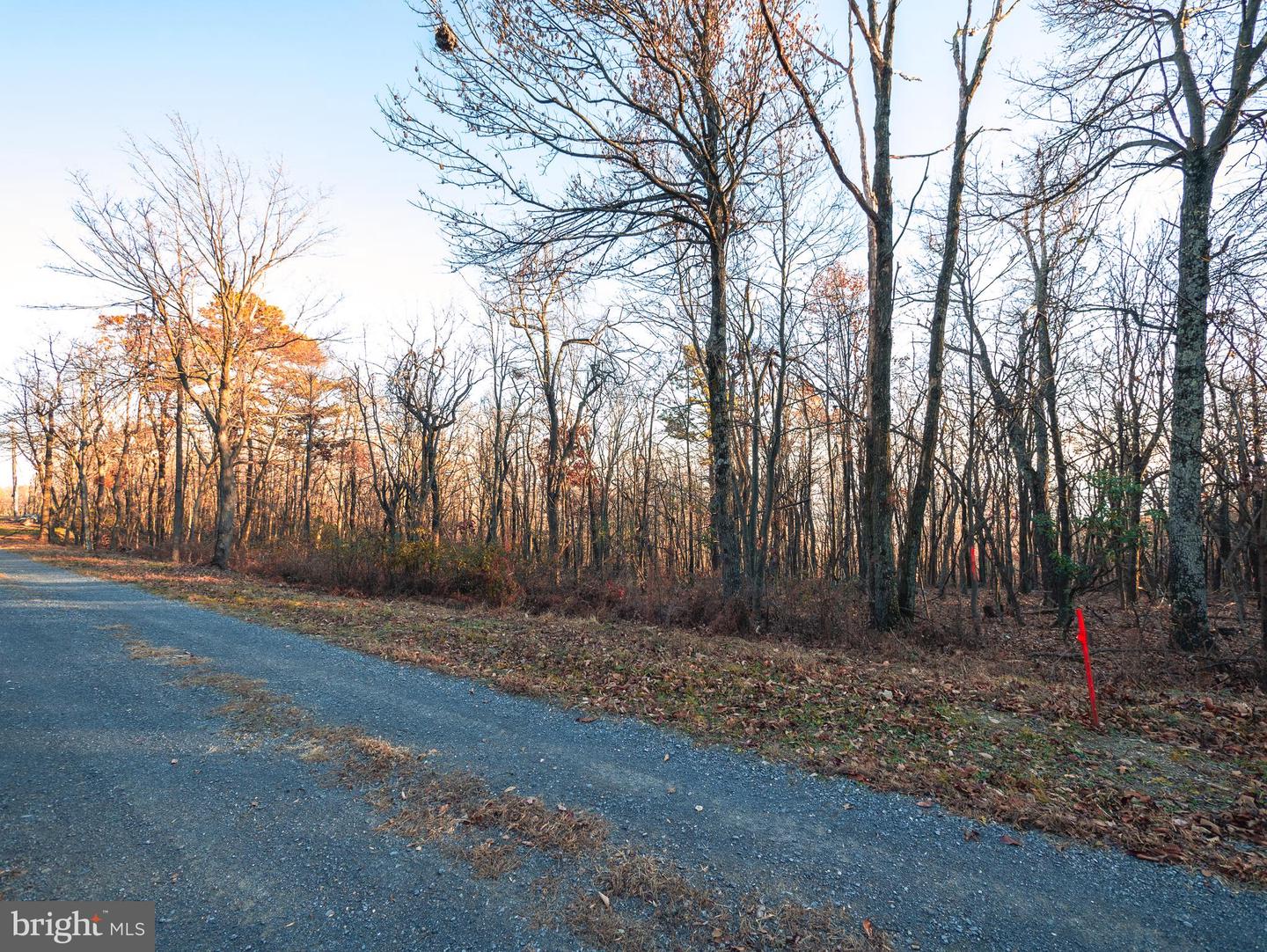 LOT 181 ROCKWOOD TRL, WINCHESTER, Virginia 22602, ,Land,For sale,LOT 181 ROCKWOOD TRL,VAFV2015996 MLS # VAFV2015996