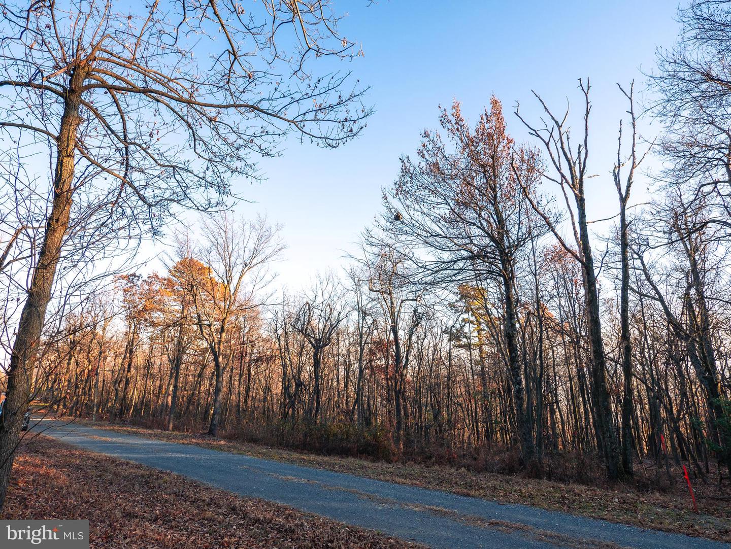 LOT 181 ROCKWOOD TRL, WINCHESTER, Virginia 22602, ,Land,For sale,LOT 181 ROCKWOOD TRL,VAFV2015996 MLS # VAFV2015996