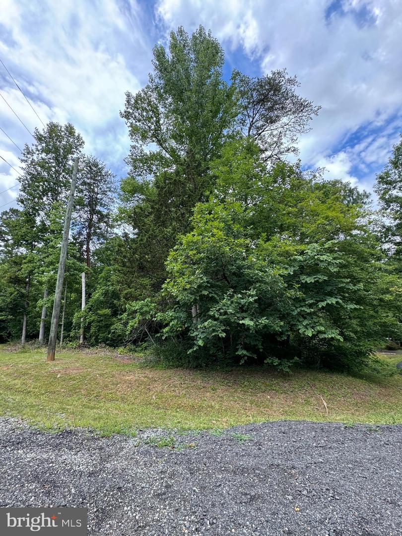 REDGROUND DR, RUTHER GLEN, Virginia 22546, ,Land,For sale,REDGROUND DR,VACV2006268 MLS # VACV2006268