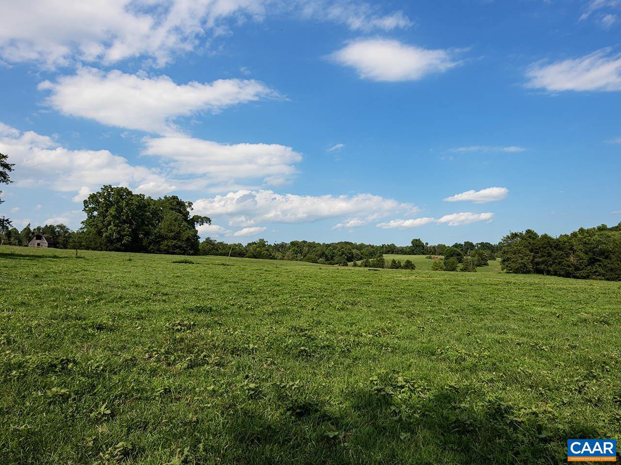 TBD_1 TATUM RD, UNIONVILLE, Virginia 22567, ,Farm,For sale,TBD_1 TATUM RD,655494 MLS # 655494