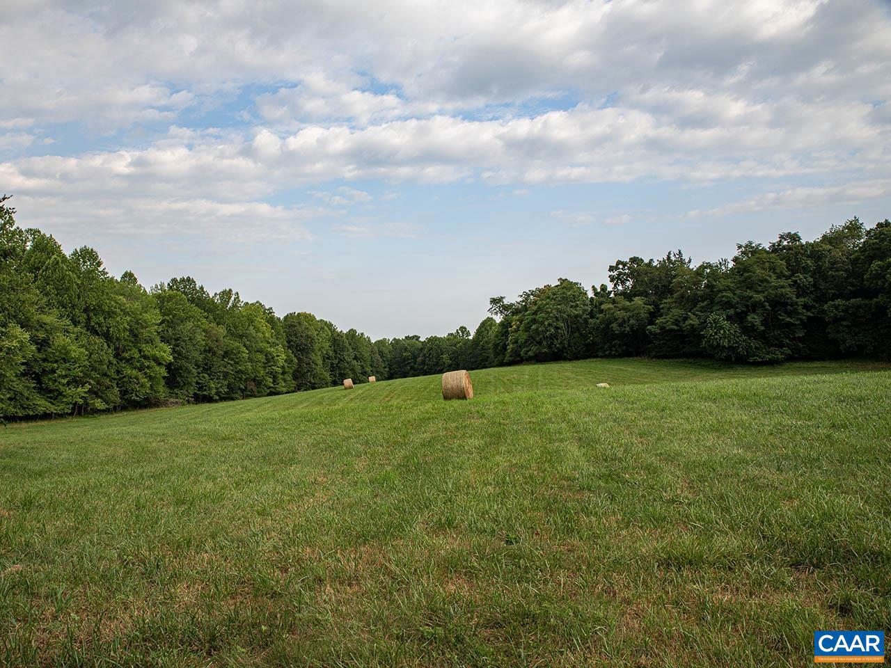 TBD_1 TATUM RD, UNIONVILLE, Virginia 22567, ,Farm,For sale,TBD_1 TATUM RD,655494 MLS # 655494