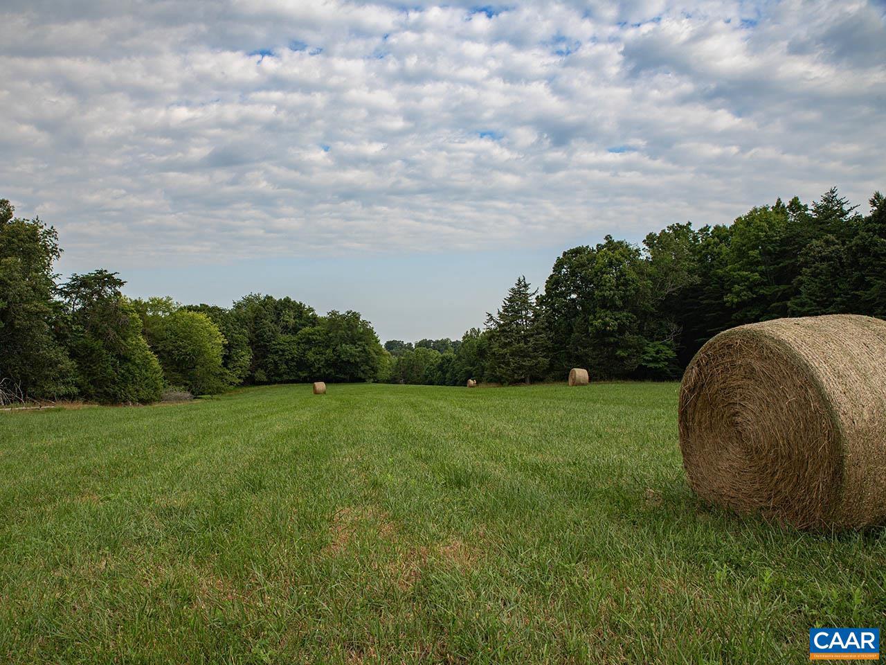 TBD_1 TATUM RD, UNIONVILLE, Virginia 22567, ,Farm,For sale,TBD_1 TATUM RD,655494 MLS # 655494