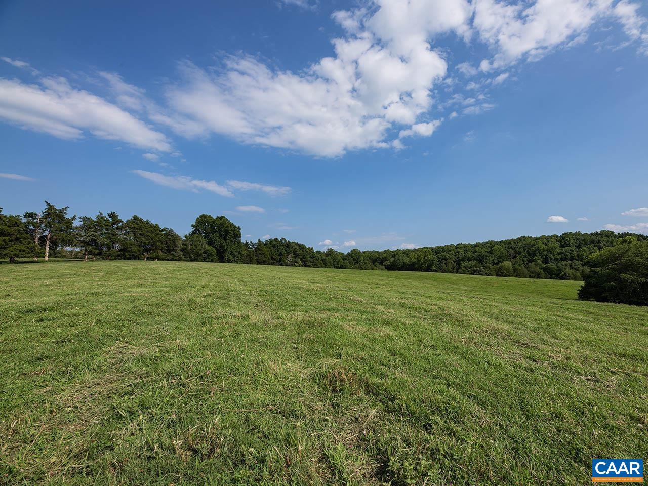 TBD_1 TATUM RD, UNIONVILLE, Virginia 22567, ,Farm,For sale,TBD_1 TATUM RD,655494 MLS # 655494