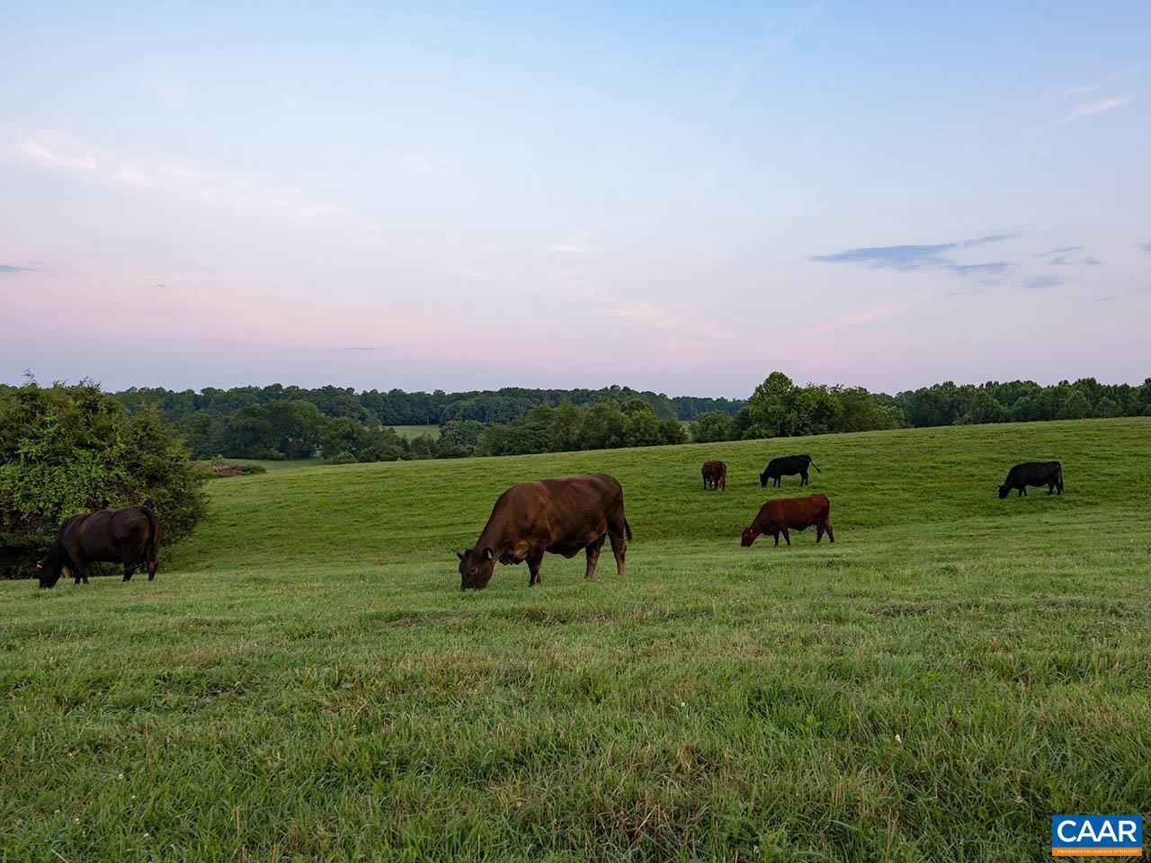 28786 TATUM RD, UNIONVILLE, Virginia 22567, ,Farm,For sale,28786 TATUM RD,655494 MLS # 655494