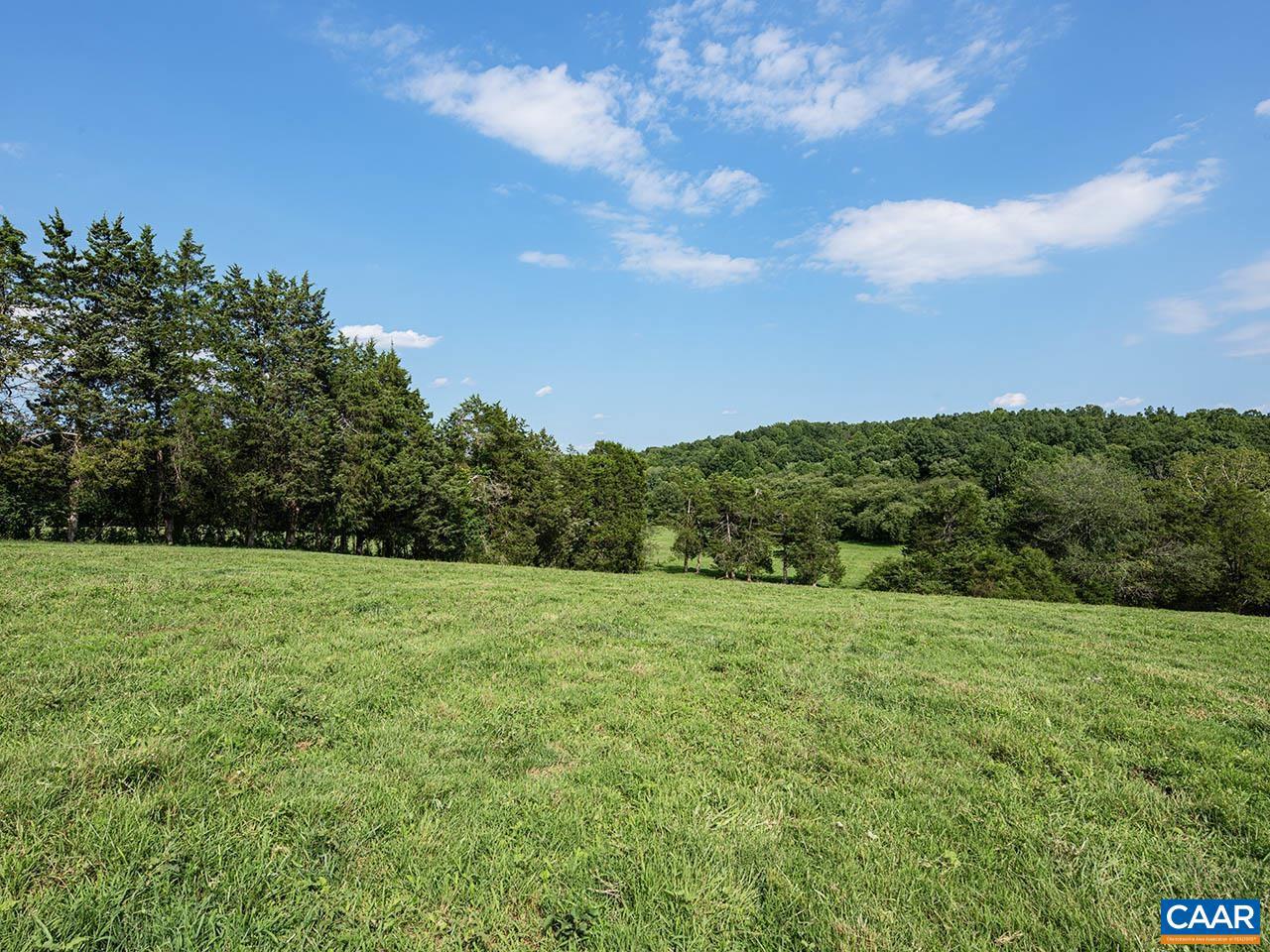 28786 TATUM RD, UNIONVILLE, Virginia 22567, ,Farm,For sale,28786 TATUM RD,655494 MLS # 655494