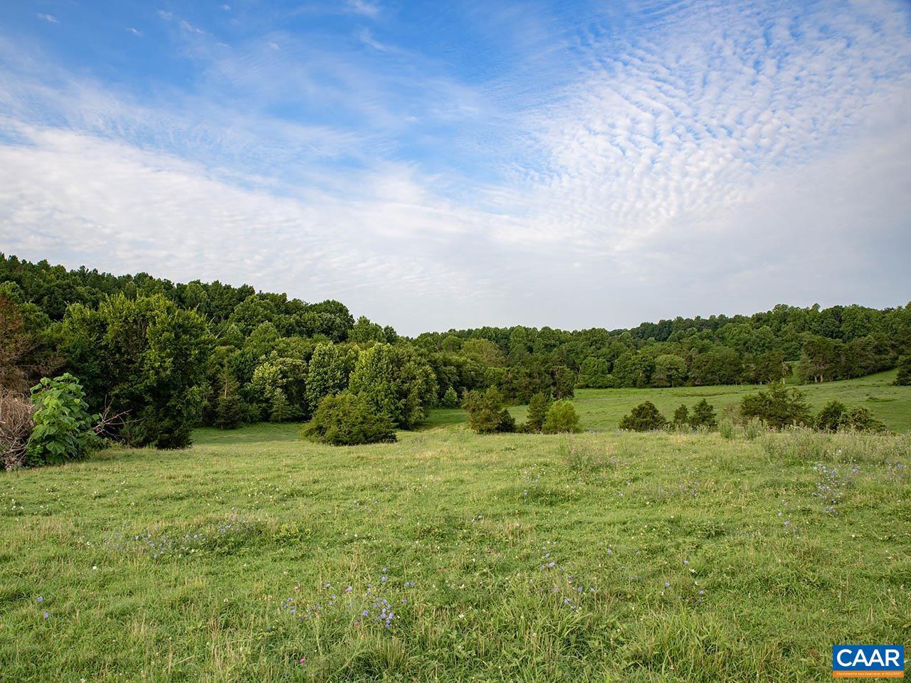 TBD_1 TATUM RD, UNIONVILLE, Virginia 22567, ,Farm,For sale,TBD_1 TATUM RD,655494 MLS # 655494