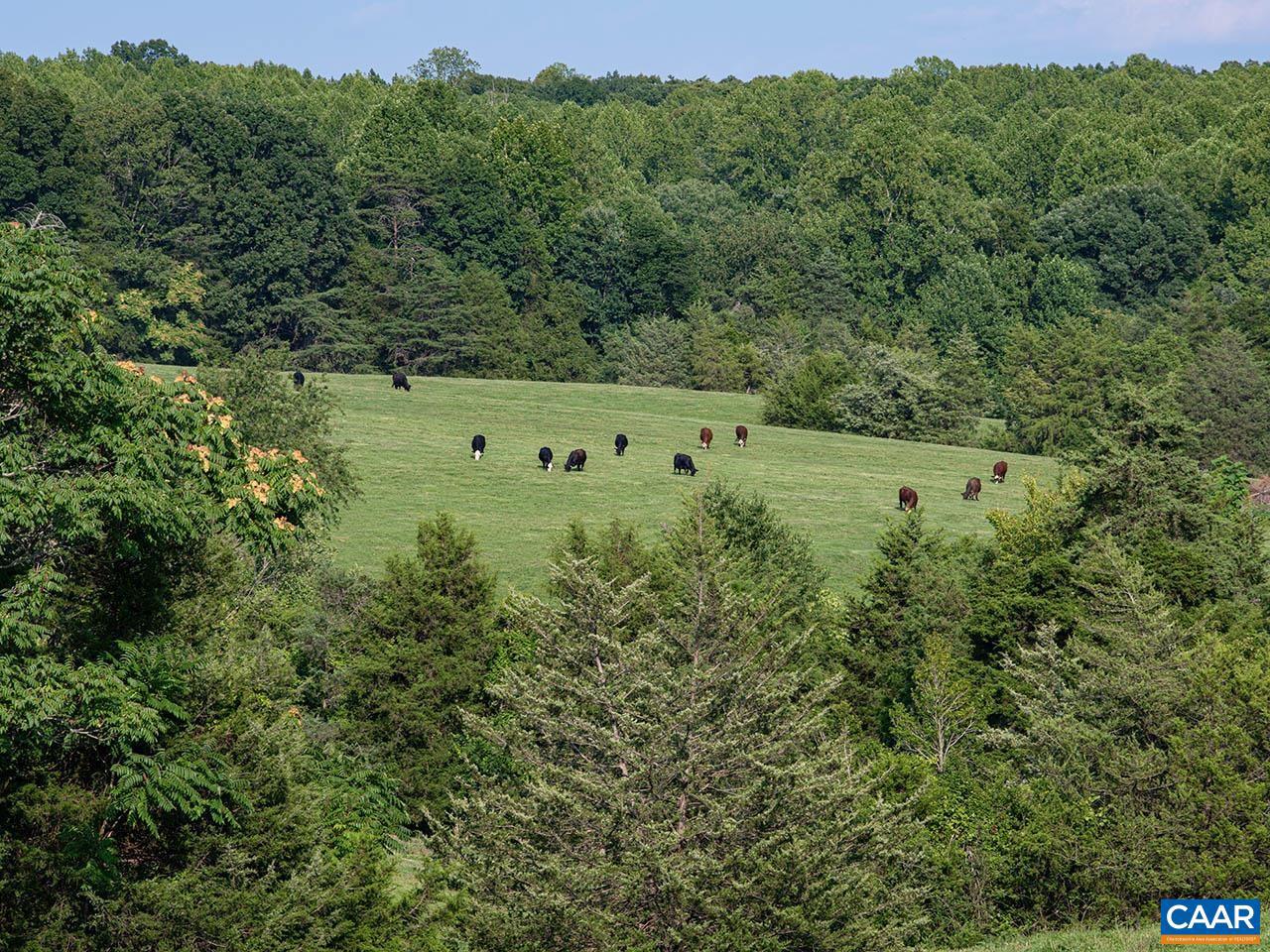 TBD_1 TATUM RD, UNIONVILLE, Virginia 22567, ,Farm,For sale,TBD_1 TATUM RD,655494 MLS # 655494