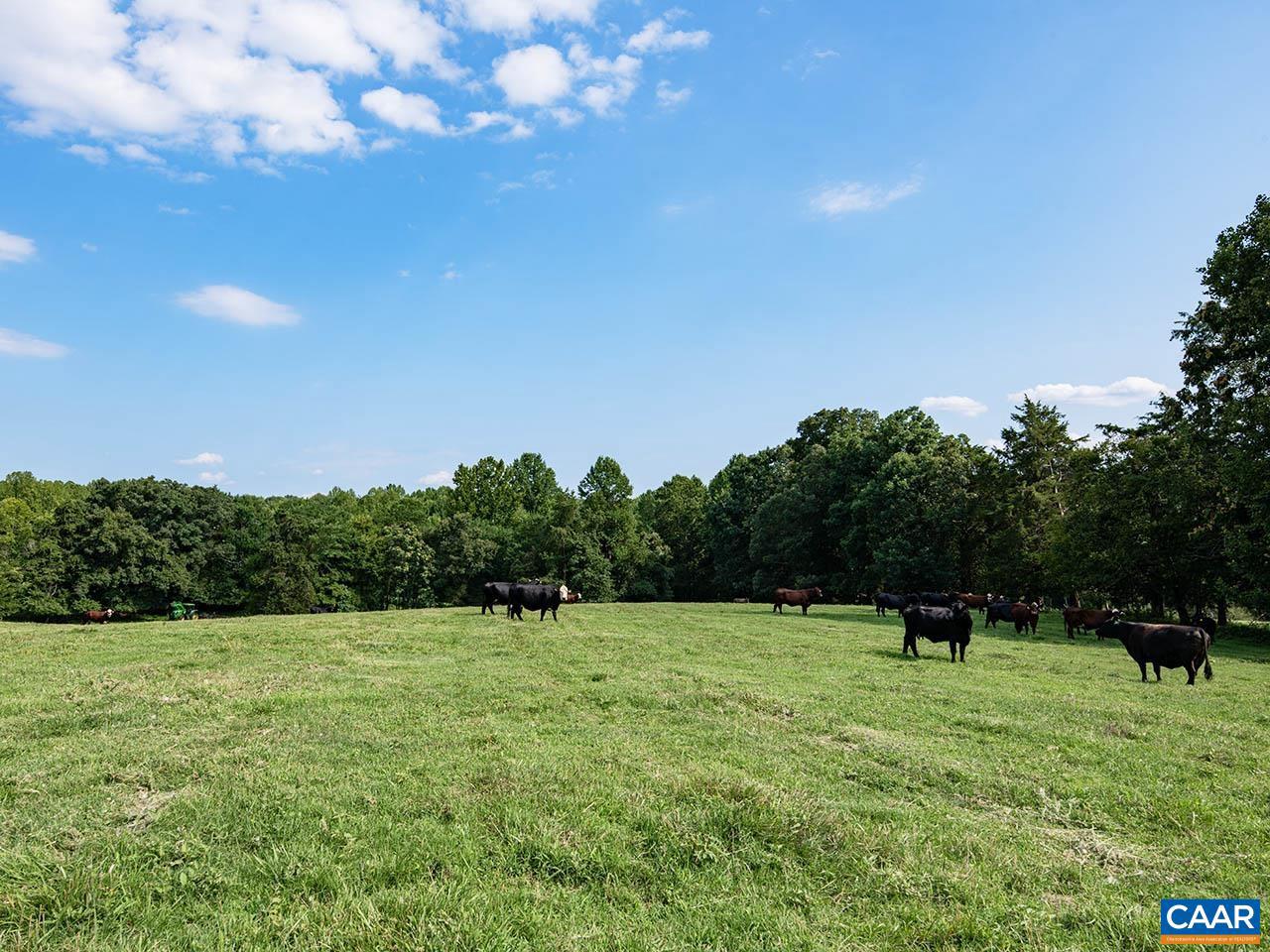 TBD_1 TATUM RD, UNIONVILLE, Virginia 22567, ,Farm,For sale,TBD_1 TATUM RD,655494 MLS # 655494