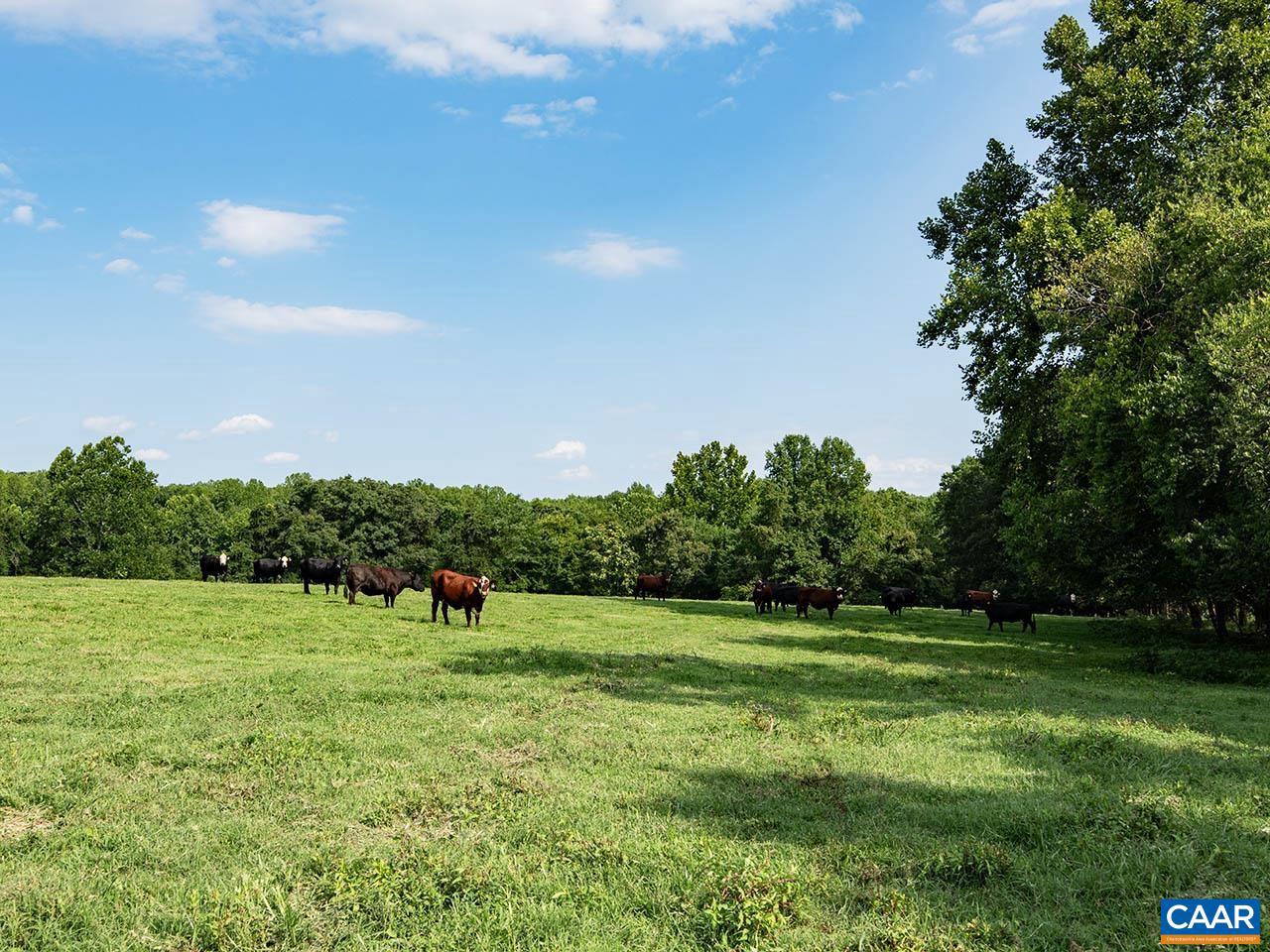 TBD_1 TATUM RD, UNIONVILLE, Virginia 22567, ,Farm,For sale,TBD_1 TATUM RD,655494 MLS # 655494