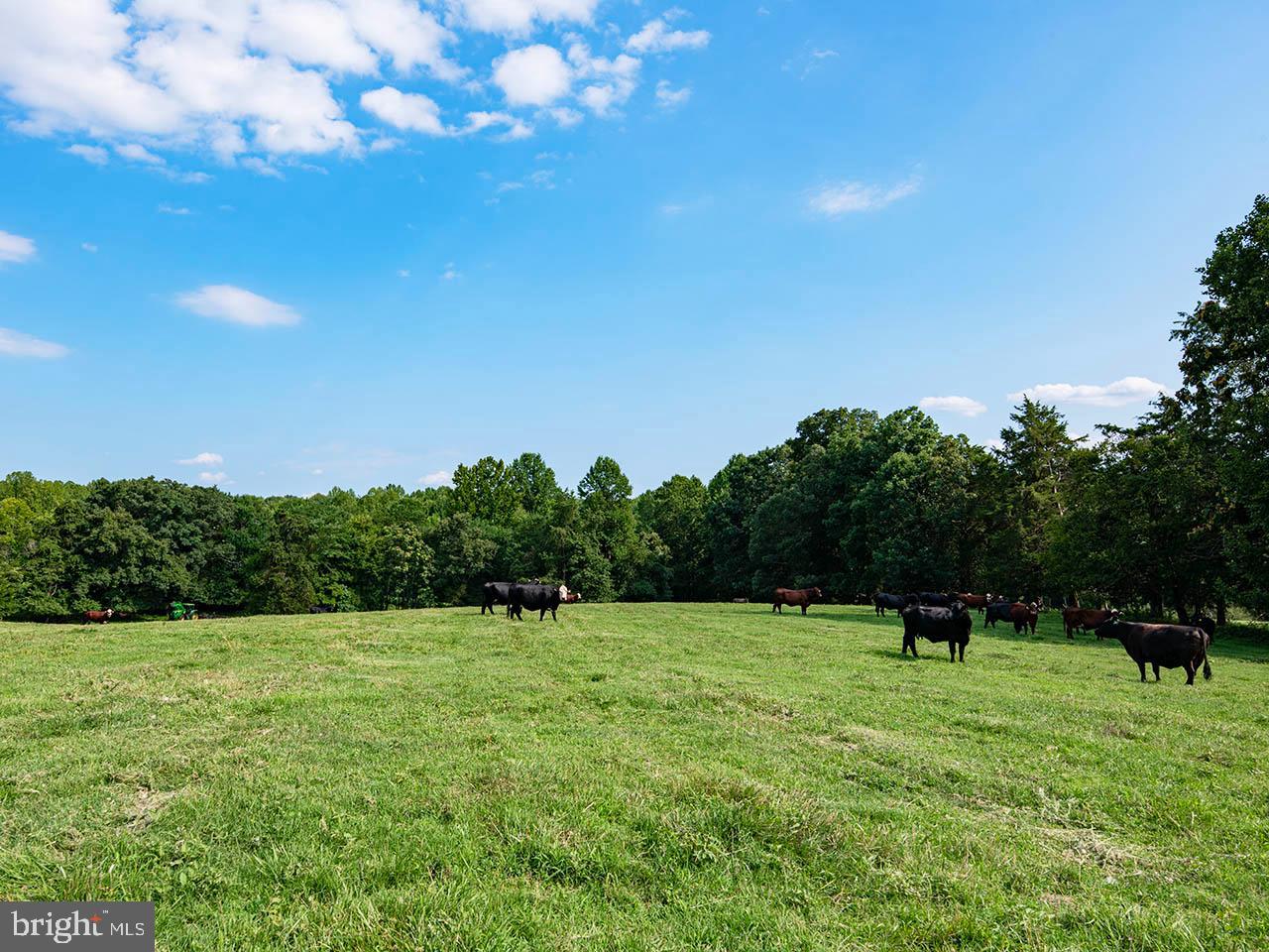 2_TBD TATUM RD, UNIONVILLE, Virginia 22567, ,Farm,For sale,2_TBD TATUM RD,VAOR2007624 MLS # VAOR2007624