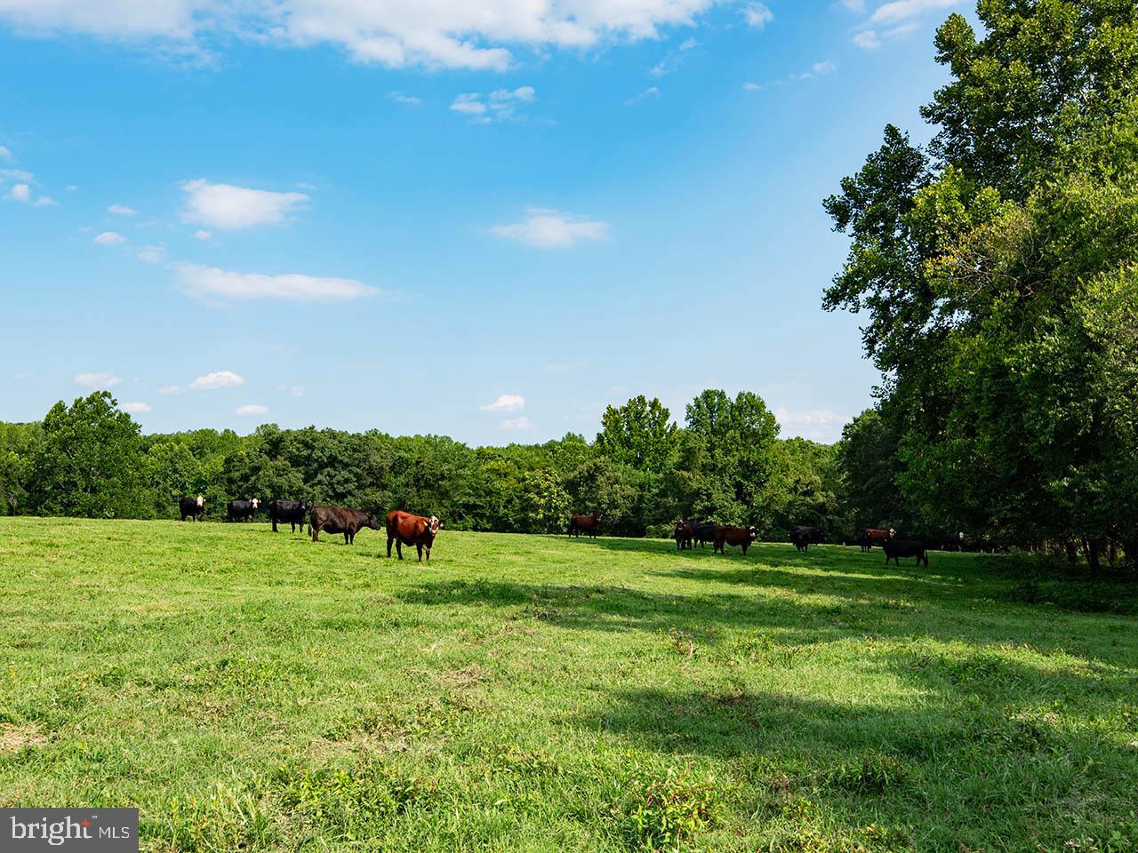 2_TBD TATUM RD, UNIONVILLE, Virginia 22567, ,Farm,For sale,2_TBD TATUM RD,VAOR2007624 MLS # VAOR2007624