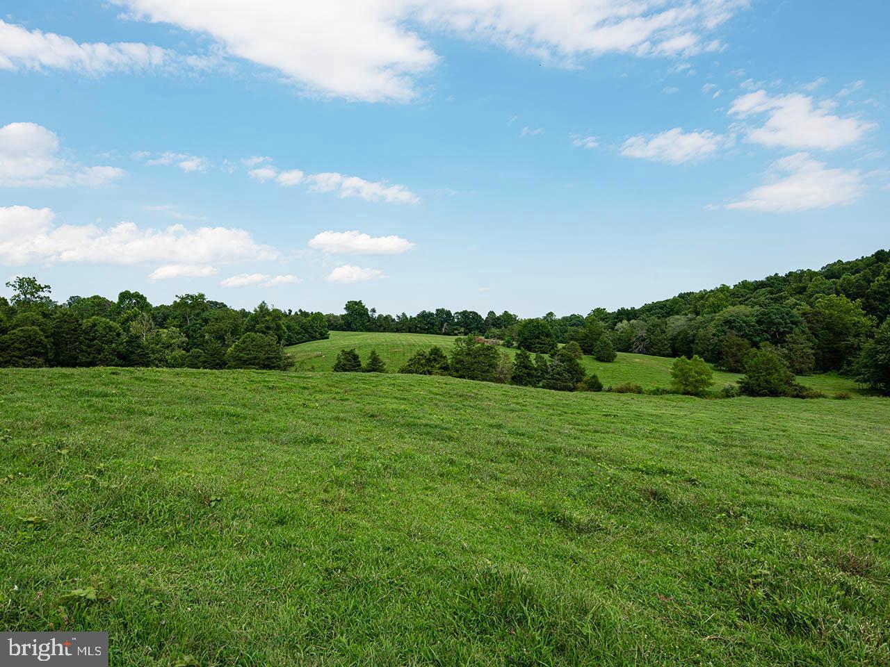 2_TBD TATUM RD, UNIONVILLE, Virginia 22567, ,Farm,For sale,2_TBD TATUM RD,VAOR2007624 MLS # VAOR2007624