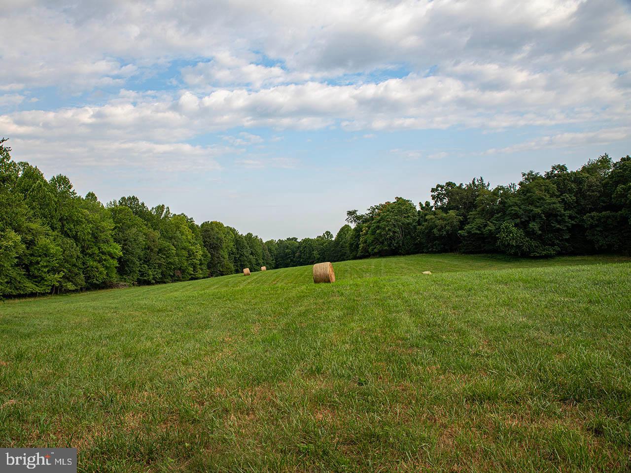 2_TBD TATUM RD, UNIONVILLE, Virginia 22567, ,Farm,For sale,2_TBD TATUM RD,VAOR2007624 MLS # VAOR2007624