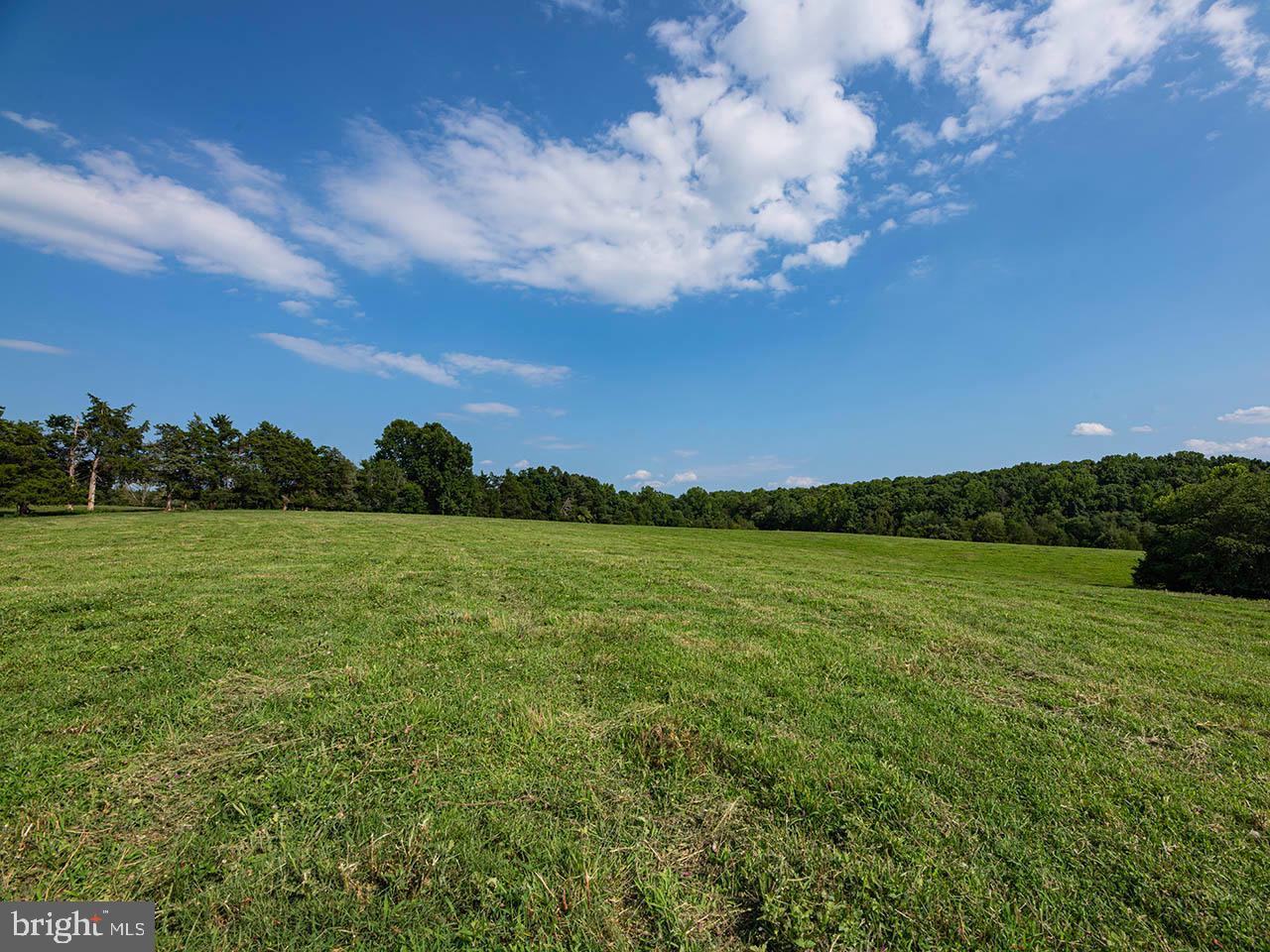 2_TBD TATUM RD, UNIONVILLE, Virginia 22567, ,Farm,For sale,2_TBD TATUM RD,VAOR2007624 MLS # VAOR2007624