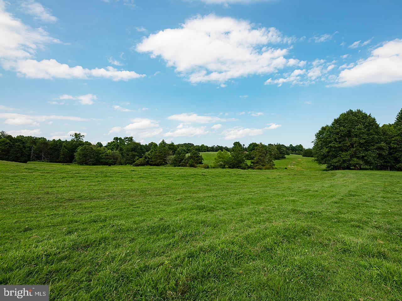 2_TBD TATUM RD, UNIONVILLE, Virginia 22567, ,Farm,For sale,2_TBD TATUM RD,VAOR2007624 MLS # VAOR2007624