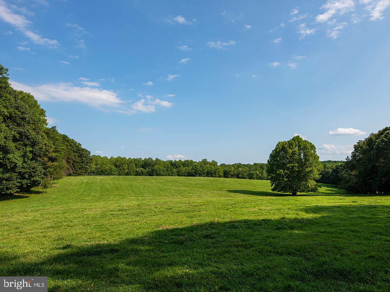 2_TBD TATUM RD, UNIONVILLE, Virginia 22567, ,Farm,For sale,2_TBD TATUM RD,VAOR2007624 MLS # VAOR2007624