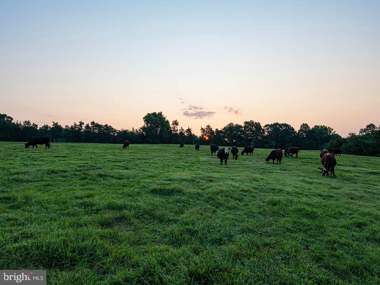 2_TBD TATUM RD, UNIONVILLE, Virginia 22567, ,Farm,For sale,2_TBD TATUM RD,VAOR2007624 MLS # VAOR2007624