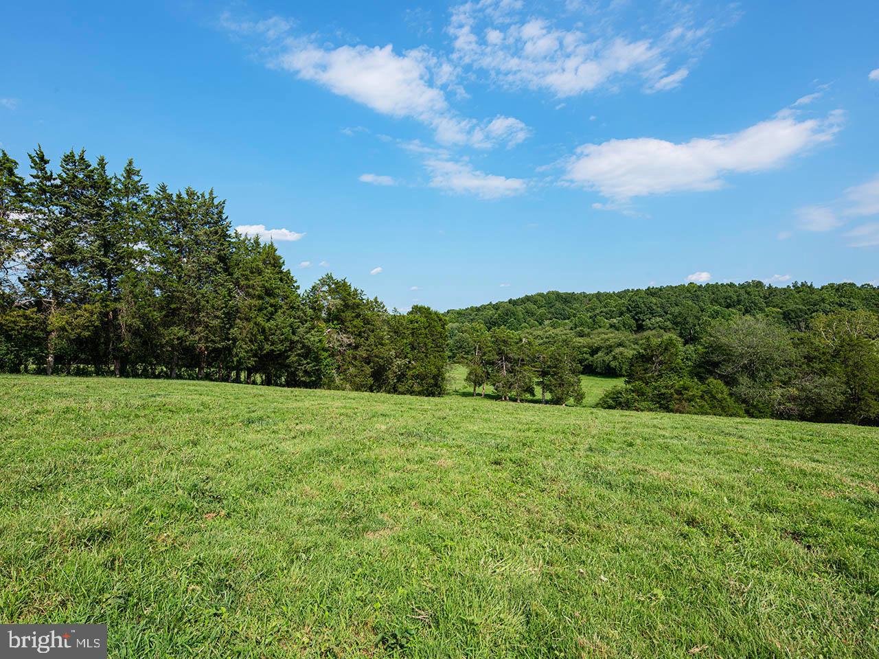 2_TBD TATUM RD, UNIONVILLE, Virginia 22567, ,Farm,For sale,2_TBD TATUM RD,VAOR2007624 MLS # VAOR2007624