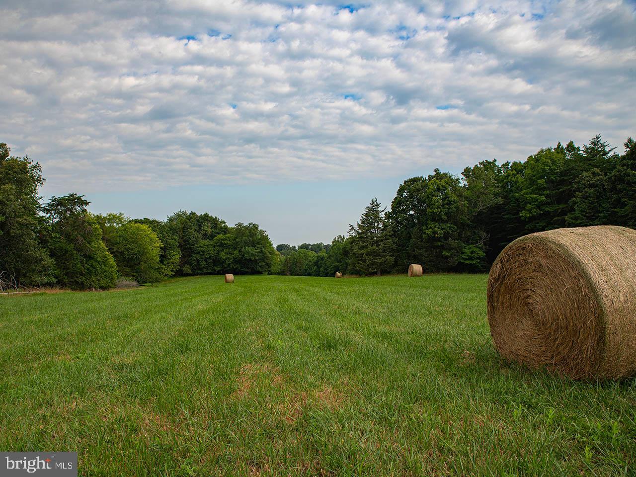 2_TBD TATUM RD, UNIONVILLE, Virginia 22567, ,Farm,For sale,2_TBD TATUM RD,VAOR2007624 MLS # VAOR2007624