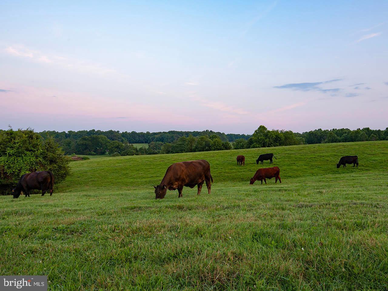 2_TBD TATUM RD, UNIONVILLE, Virginia 22567, ,Farm,For sale,2_TBD TATUM RD,VAOR2007624 MLS # VAOR2007624