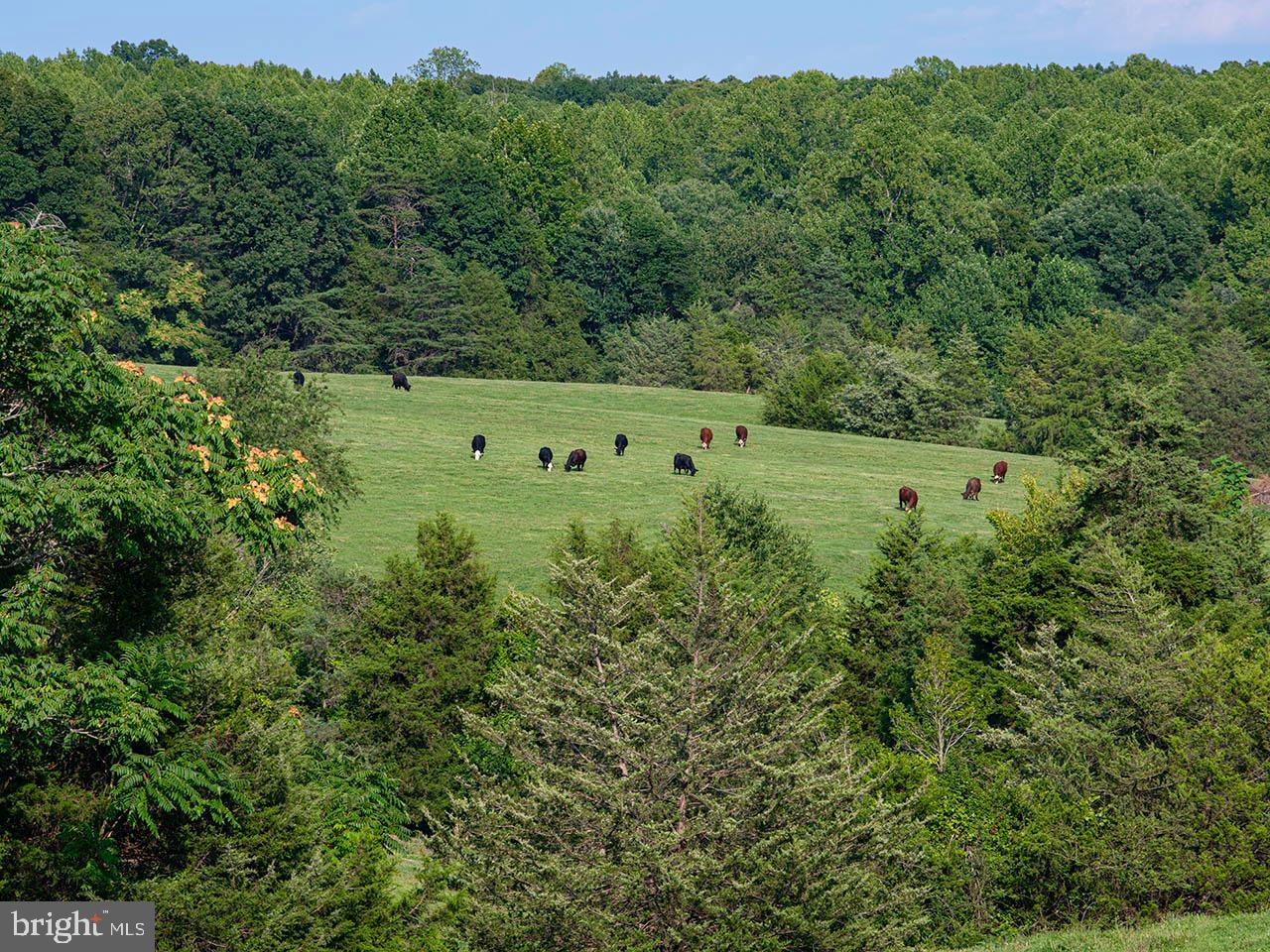 2_TBD TATUM RD, UNIONVILLE, Virginia 22567, ,Farm,For sale,2_TBD TATUM RD,VAOR2007624 MLS # VAOR2007624