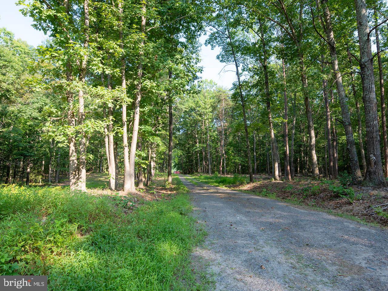 2_TBD TATUM RD, UNIONVILLE, Virginia 22567, ,Farm,For sale,2_TBD TATUM RD,VAOR2007624 MLS # VAOR2007624