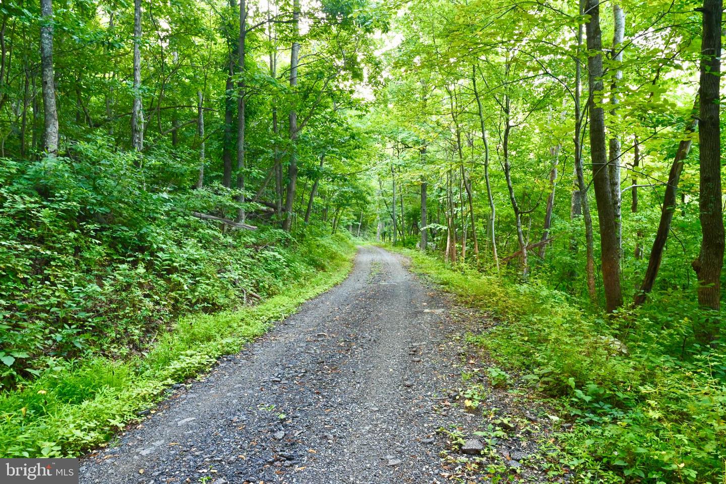 01 SNOW MOUNTAIN RD, STANARDSVILLE, Virginia 22973, ,Land,For sale,01 SNOW MOUNTAIN RD,VAGR2000558 MLS # VAGR2000558