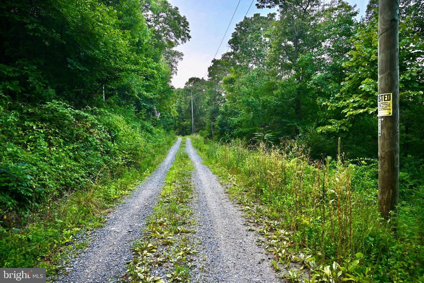 01 SNOW MOUNTAIN RD, STANARDSVILLE, Virginia 22973, ,Land,For sale,01 SNOW MOUNTAIN RD,VAGR2000558 MLS # VAGR2000558