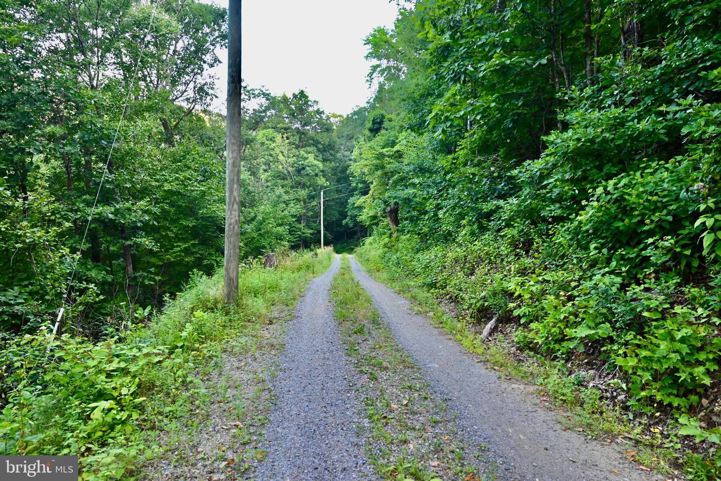 01 SNOW MOUNTAIN RD, STANARDSVILLE, Virginia 22973, ,Land,For sale,01 SNOW MOUNTAIN RD,VAGR2000558 MLS # VAGR2000558