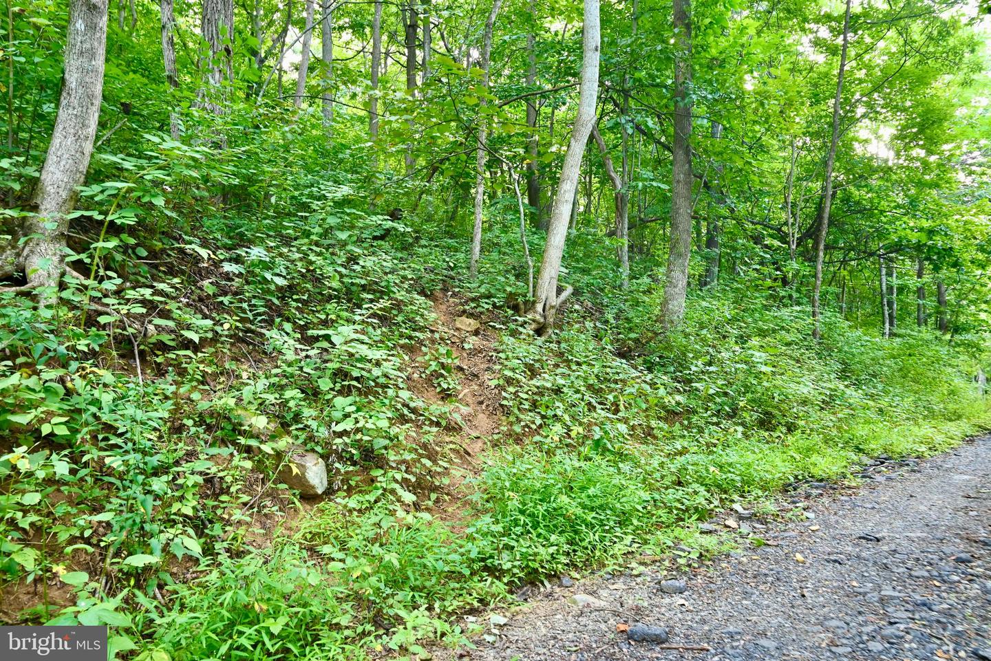 01 SNOW MOUNTAIN RD, STANARDSVILLE, Virginia 22973, ,Land,For sale,01 SNOW MOUNTAIN RD,VAGR2000558 MLS # VAGR2000558