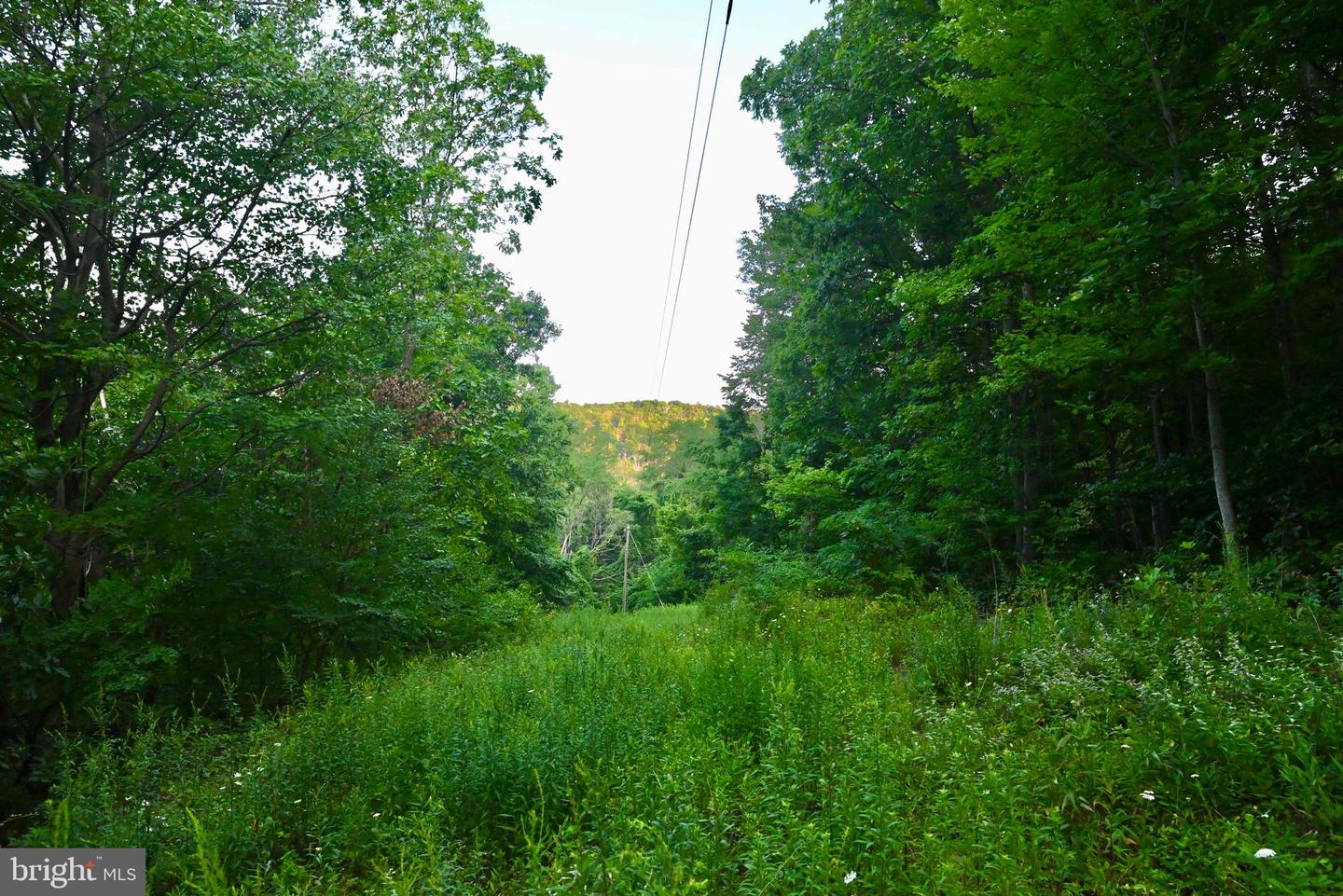 01 SNOW MOUNTAIN RD, STANARDSVILLE, Virginia 22973, ,Land,For sale,01 SNOW MOUNTAIN RD,VAGR2000558 MLS # VAGR2000558