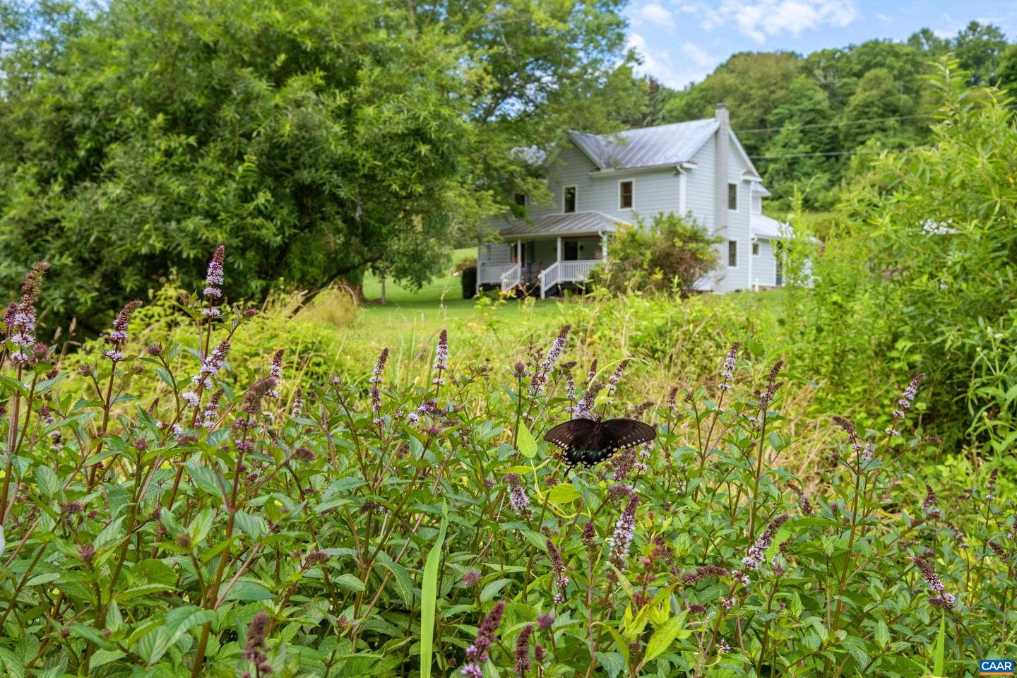 119 ZINKS MILL SCHOOL RD, MONTEBELLO, Virginia 24464, 4 Bedrooms Bedrooms, ,2 BathroomsBathrooms,Residential,For sale,119 ZINKS MILL SCHOOL RD,655584 MLS # 655584